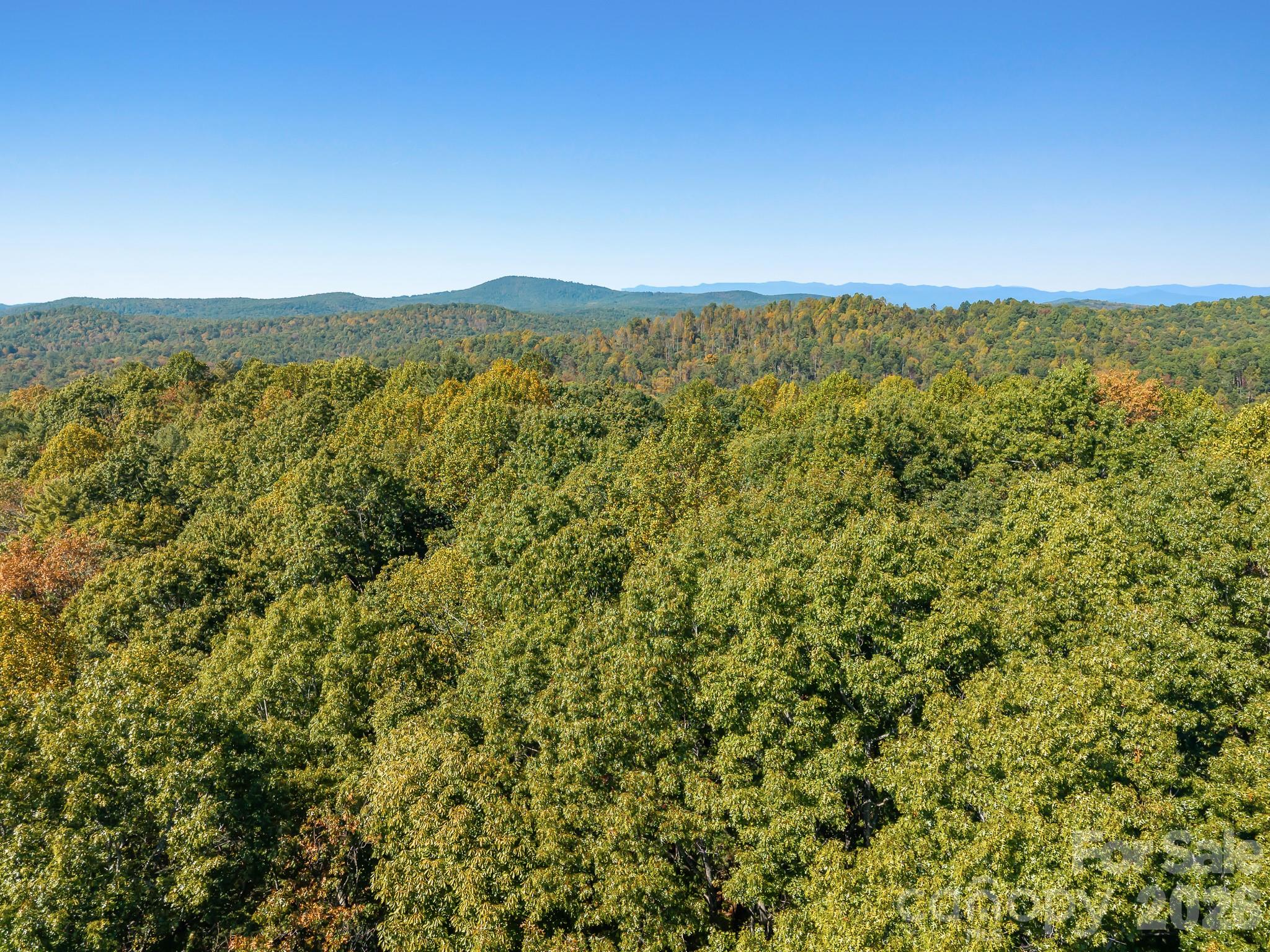 Lot at Lot 15 Spanish Oak Drive, Cedar Mountain, photo 17 of 19