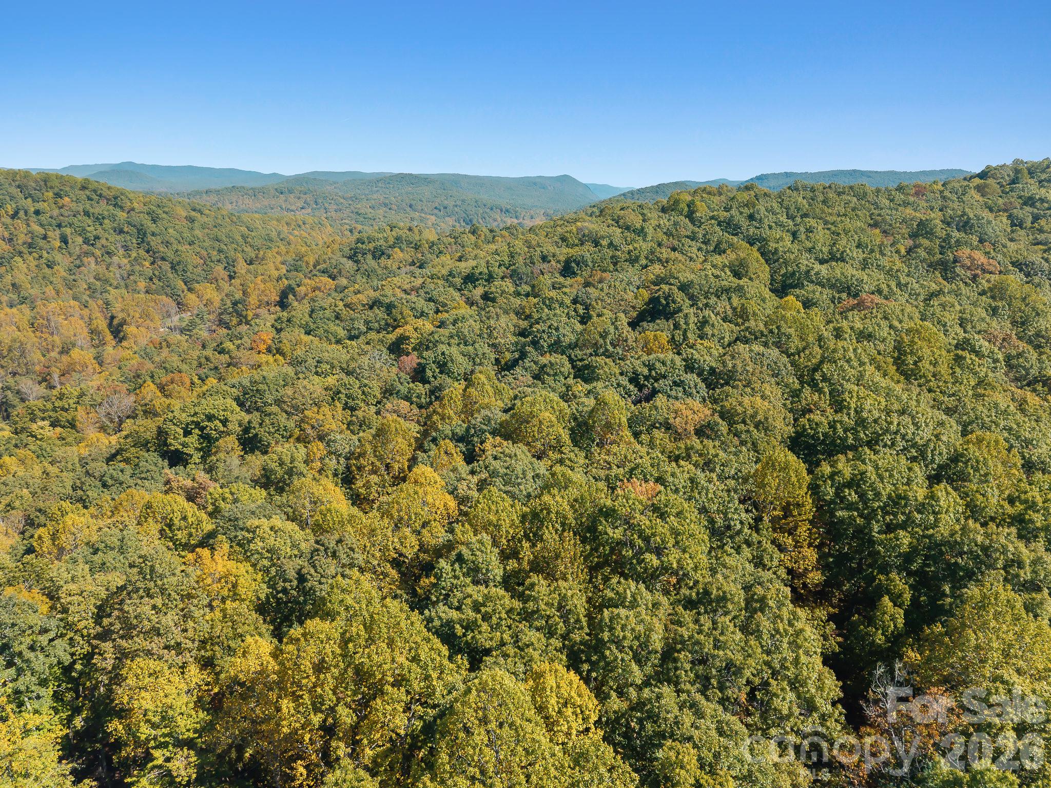 Lot at Lot 15 Spanish Oak Drive, Cedar Mountain, photo 18 of 19