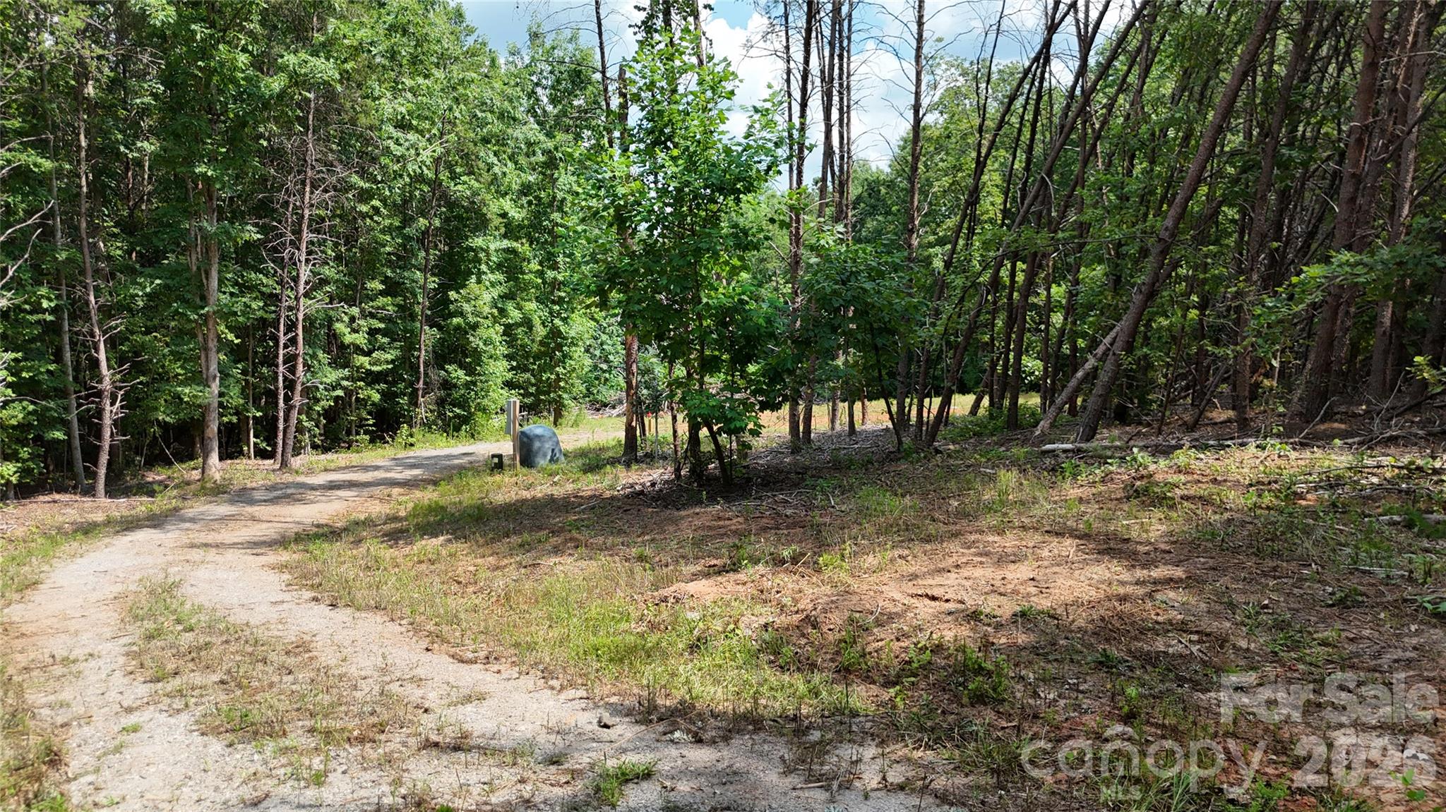 Acreage at TBD Hollis Road, Ellenboro, photo 4 of 16