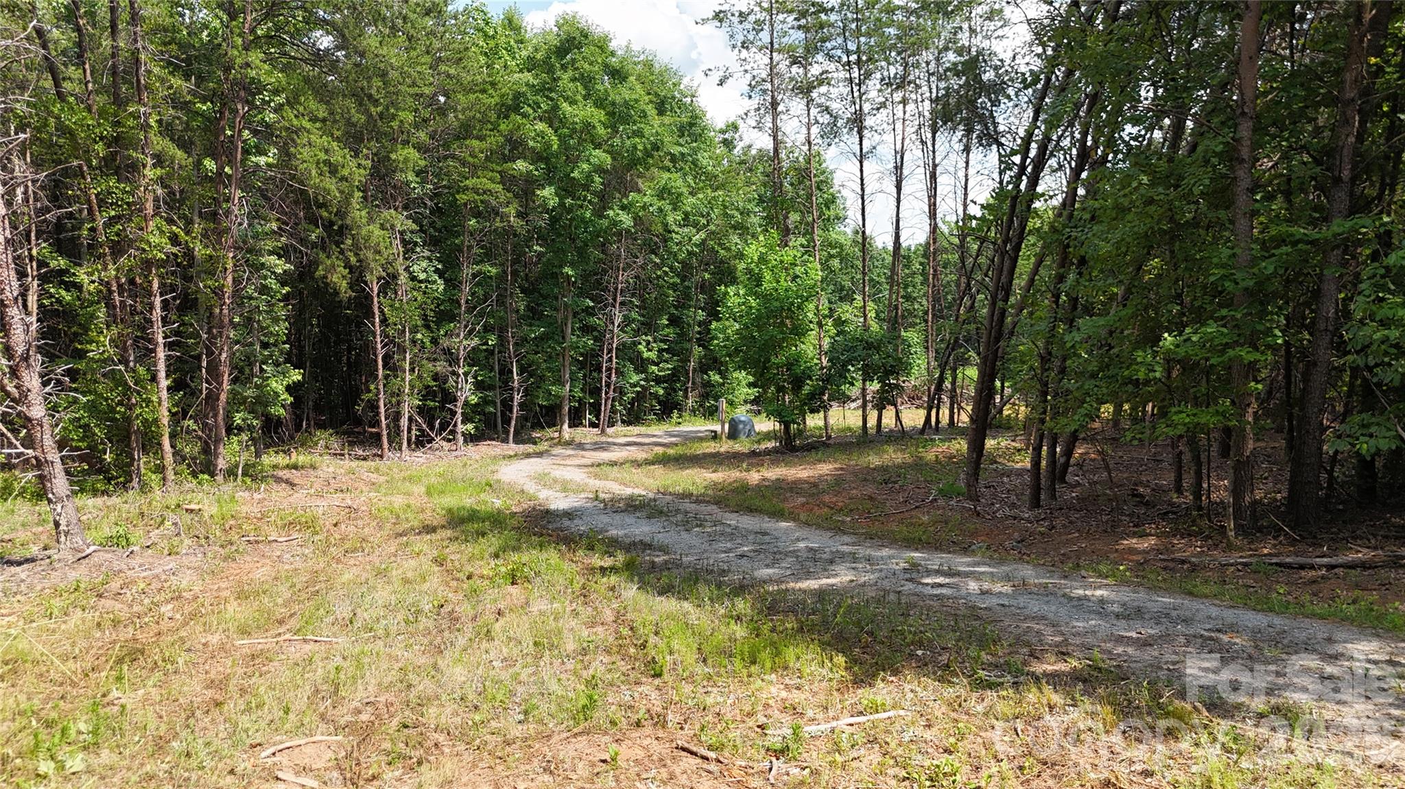 Acreage at TBD Hollis Road, Ellenboro, photo 8 of 16
