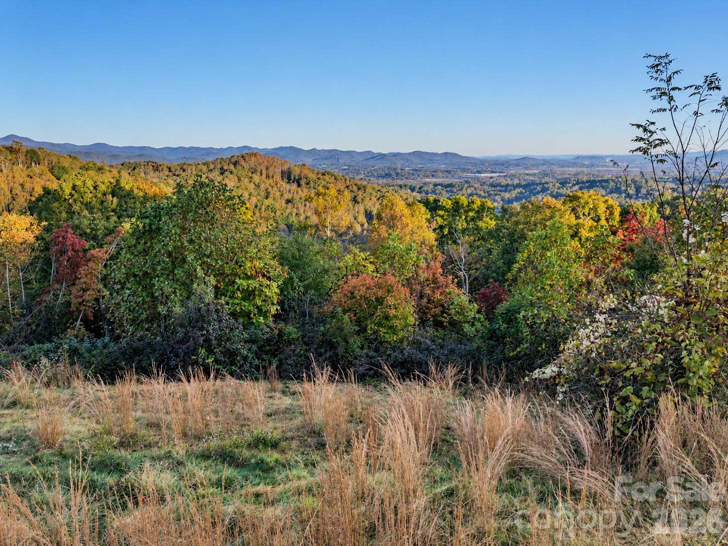 Lot at 00 Skydance Trail, Hendersonville, photo 5 of 23