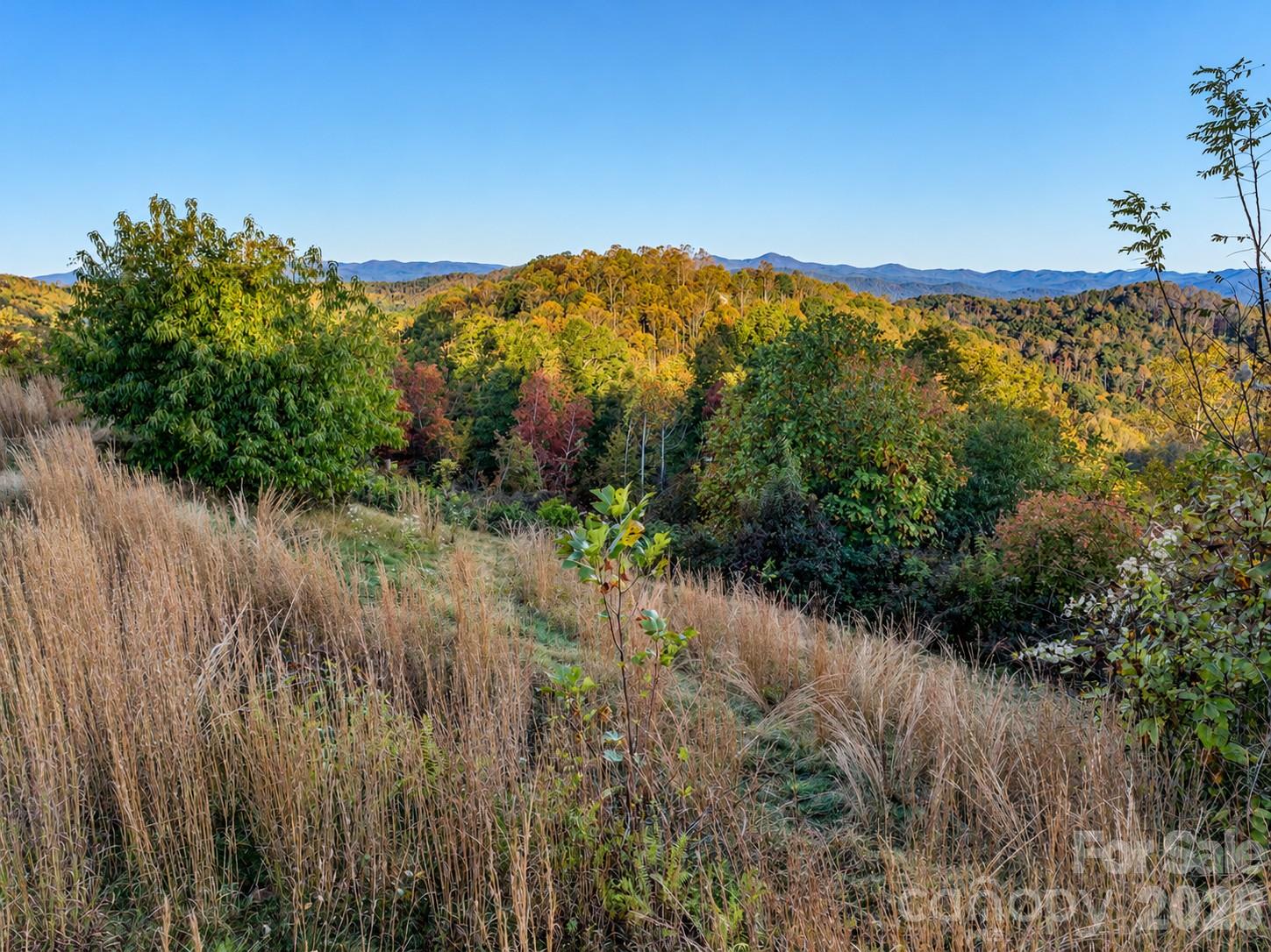 Lot at 00 Skydance Trail, Hendersonville, photo 7 of 23