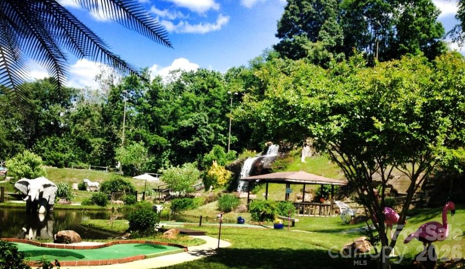 Special Purpose at 956 Patton Avenue, Asheville, photo 7 of 12