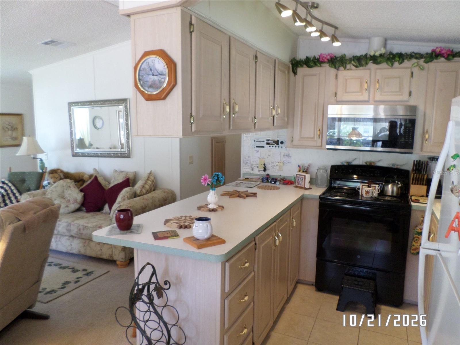 Kitchen view 2 lots of cabinets - 68 PALAMINO PATH, RIVER RANCH