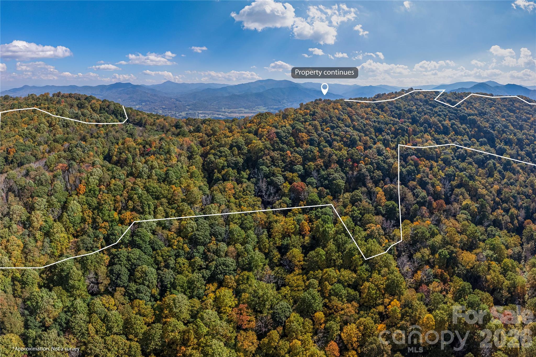 Acreage at TBD Windaleir Lane, Waynesville, photo 4 of 34