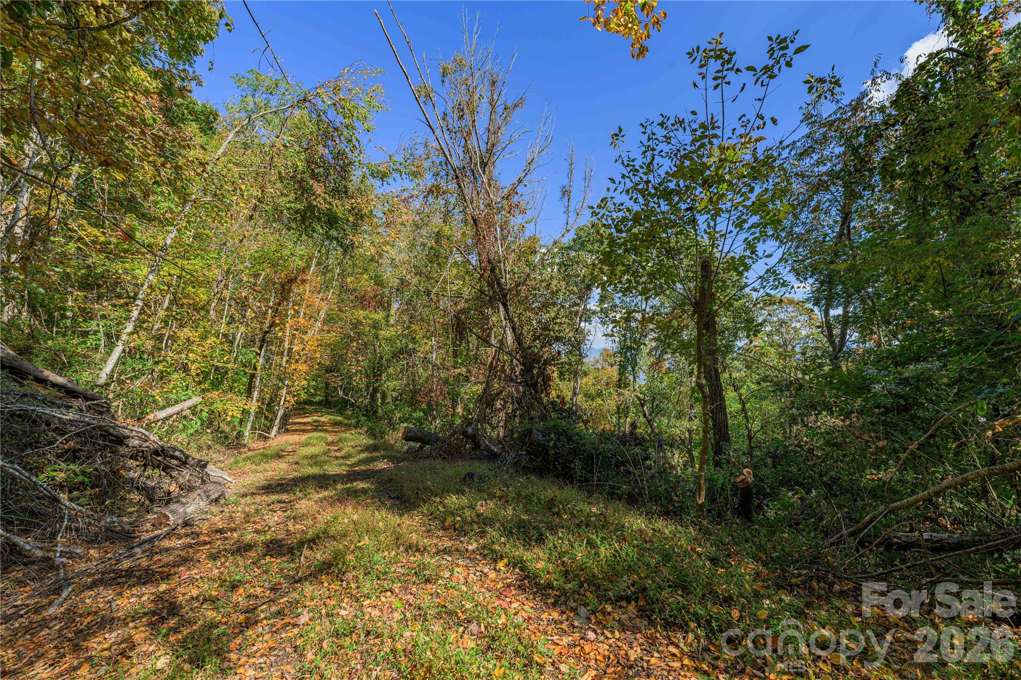 Acreage at TBD Windaleir Lane, Waynesville, photo 21 of 34