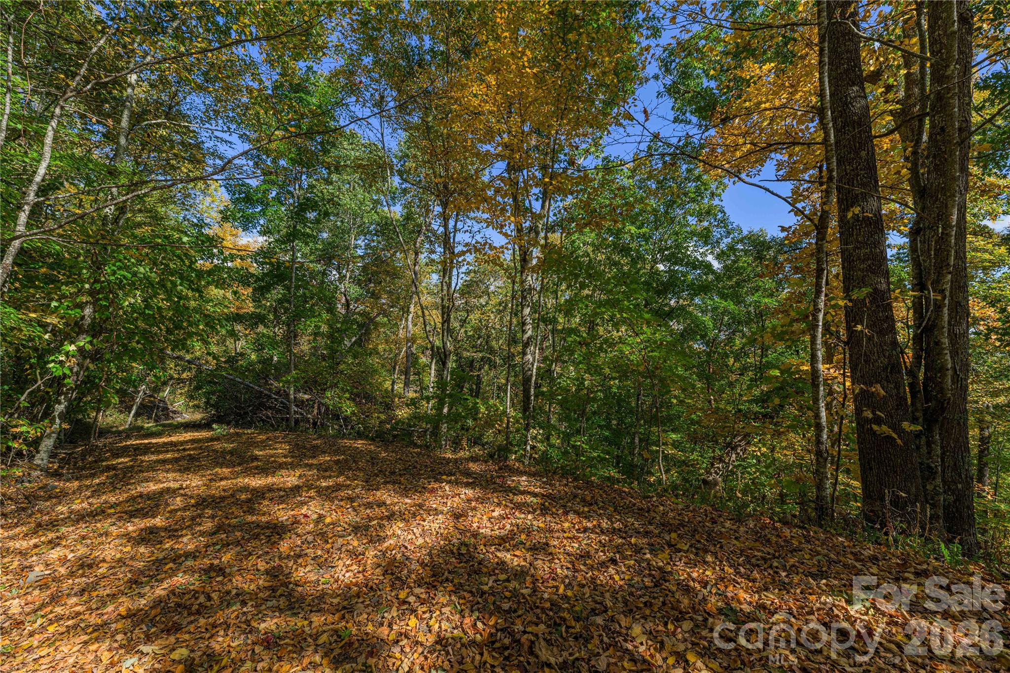 Acreage at TBD Windaleir Lane, Waynesville, photo 22 of 34