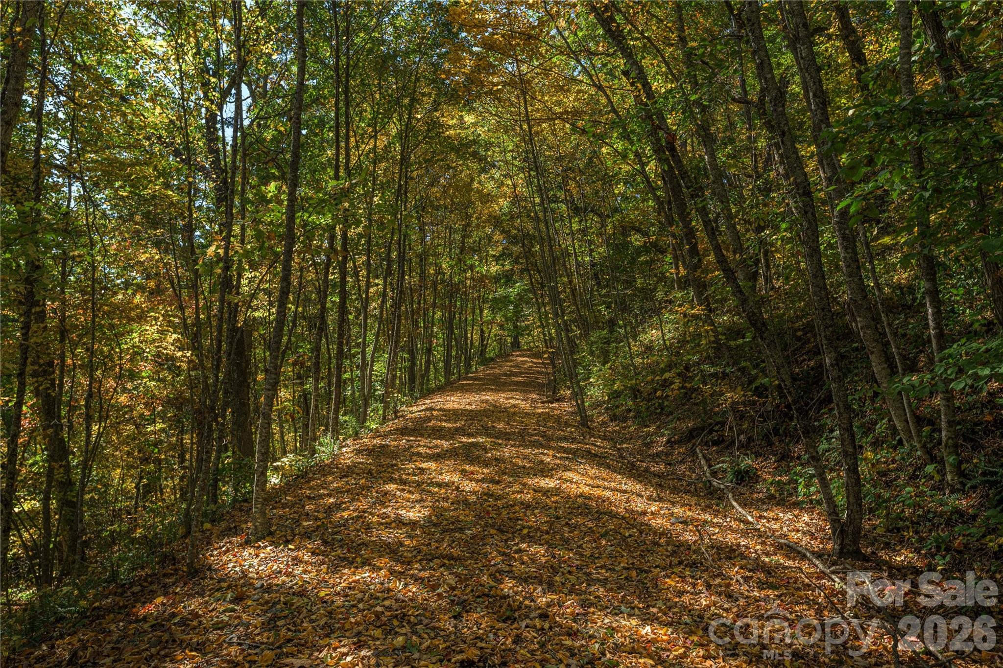 Acreage at TBD Windaleir Lane, Waynesville, photo 23 of 34