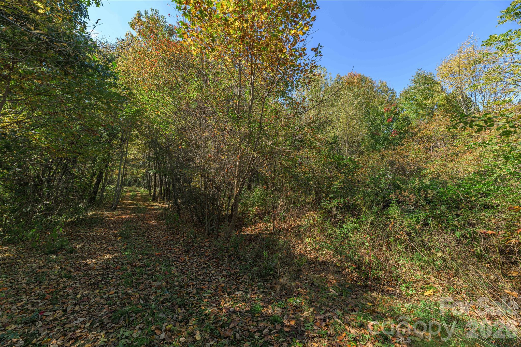 Acreage at TBD Windaleir Lane, Waynesville, photo 25 of 34