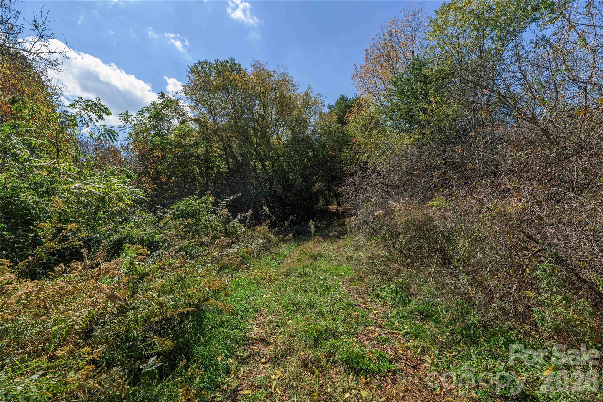 Acreage at TBD Windaleir Lane, Waynesville, photo 27 of 34