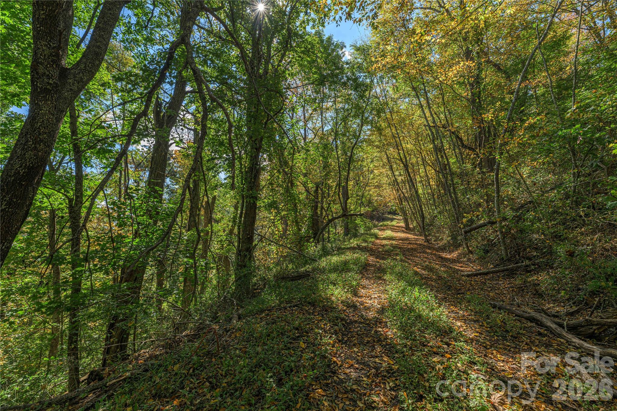 Acreage at TBD Windaleir Lane, Waynesville, photo 29 of 34