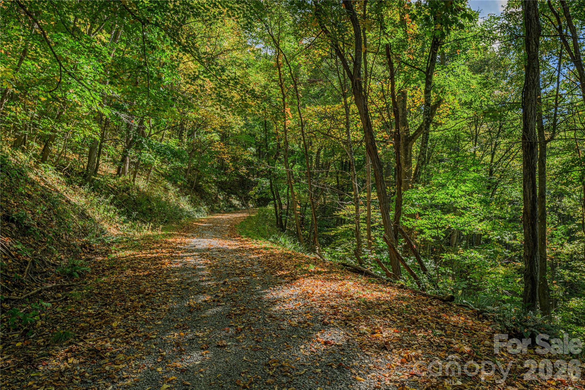 Acreage at TBD Windaleir Lane, Waynesville, photo 32 of 34