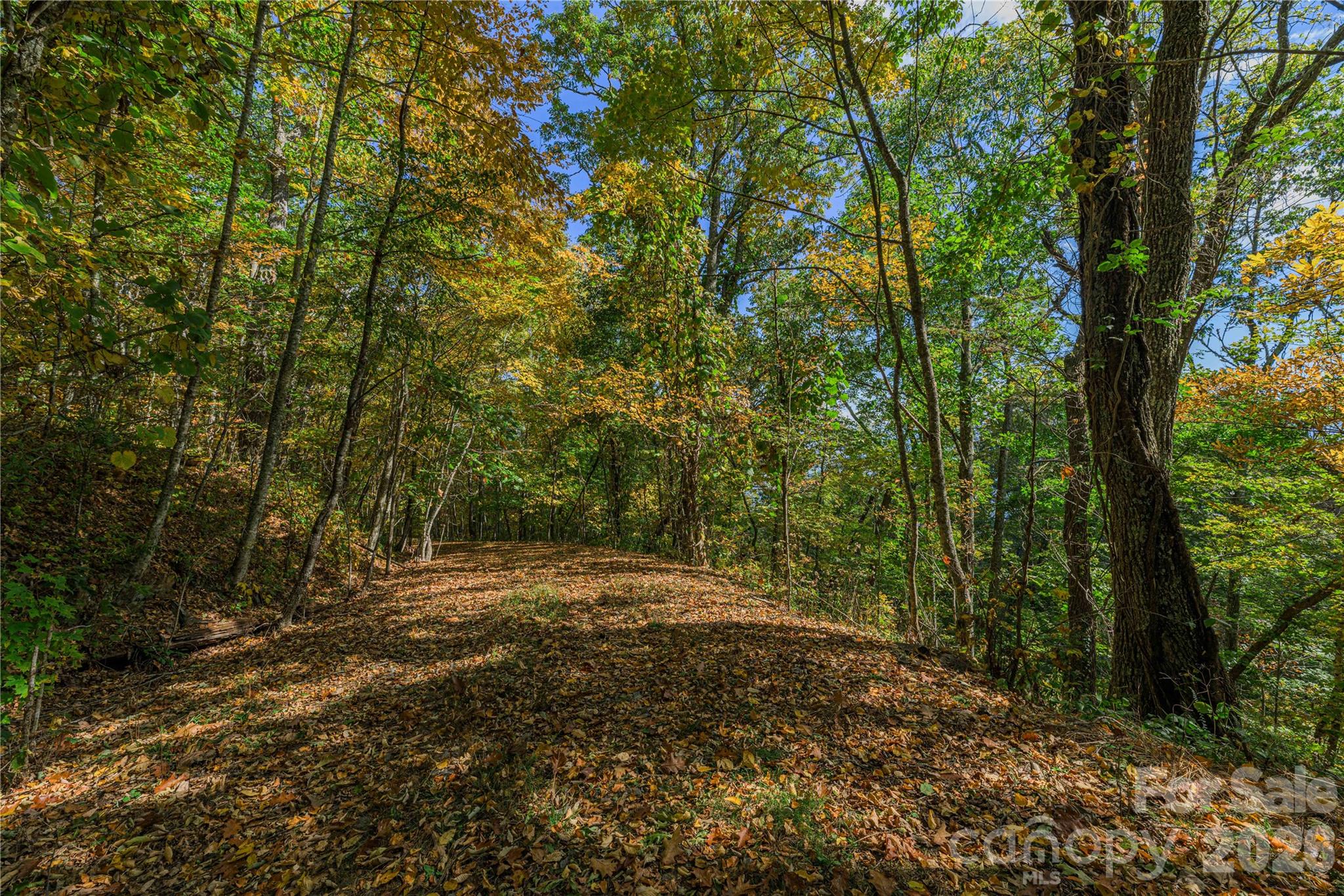 Acreage at TBD Windaleir Lane, Waynesville, photo 33 of 34