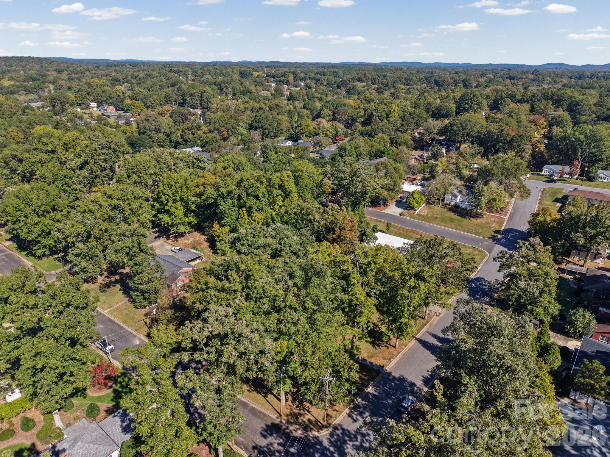 Single Family Residence at 719 Avondale Avenue, Albemarle, photo 89 of 91