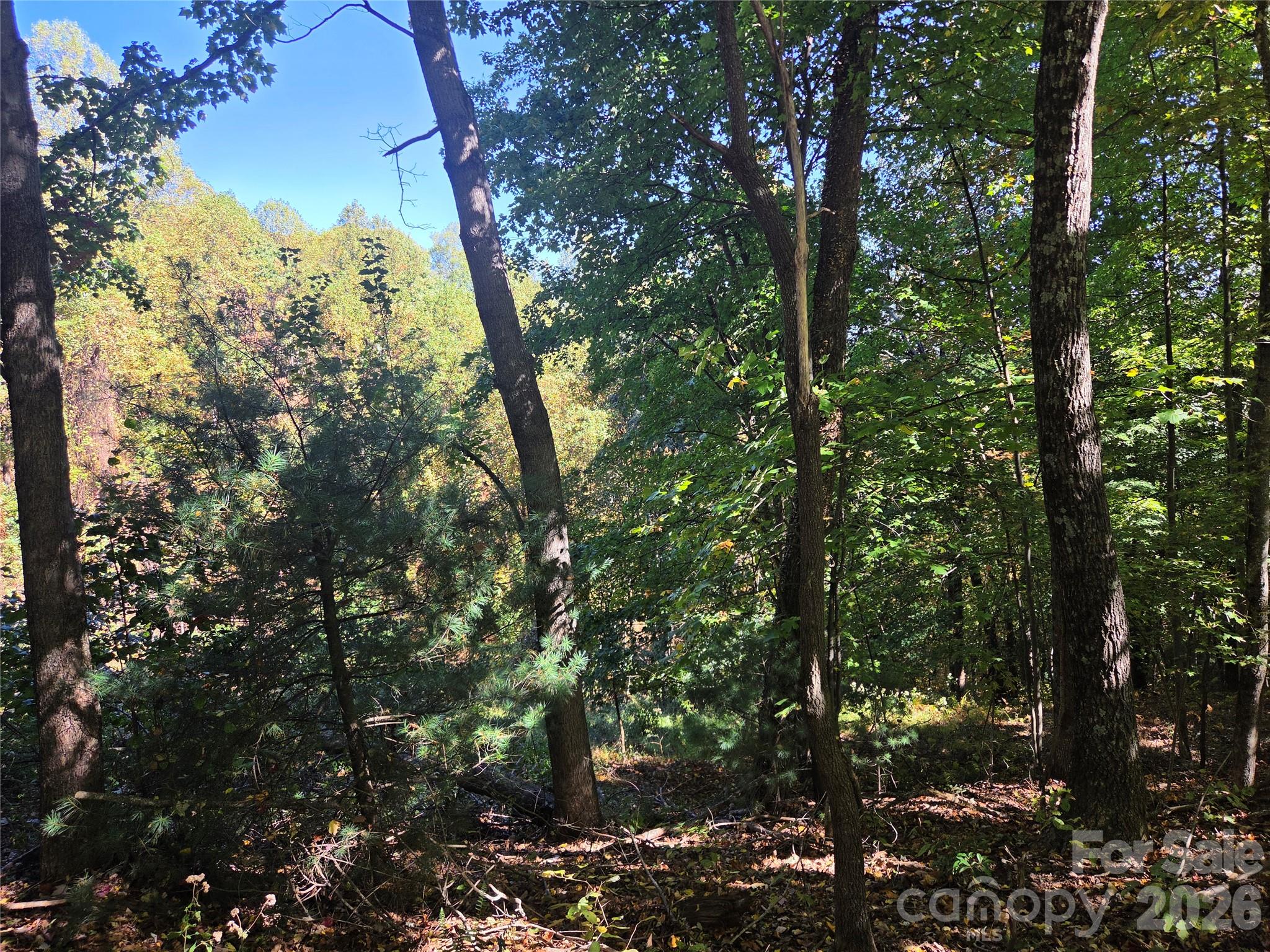 Acreage at 29 Elk Ridge Road, Ferguson, photo 4 of 23