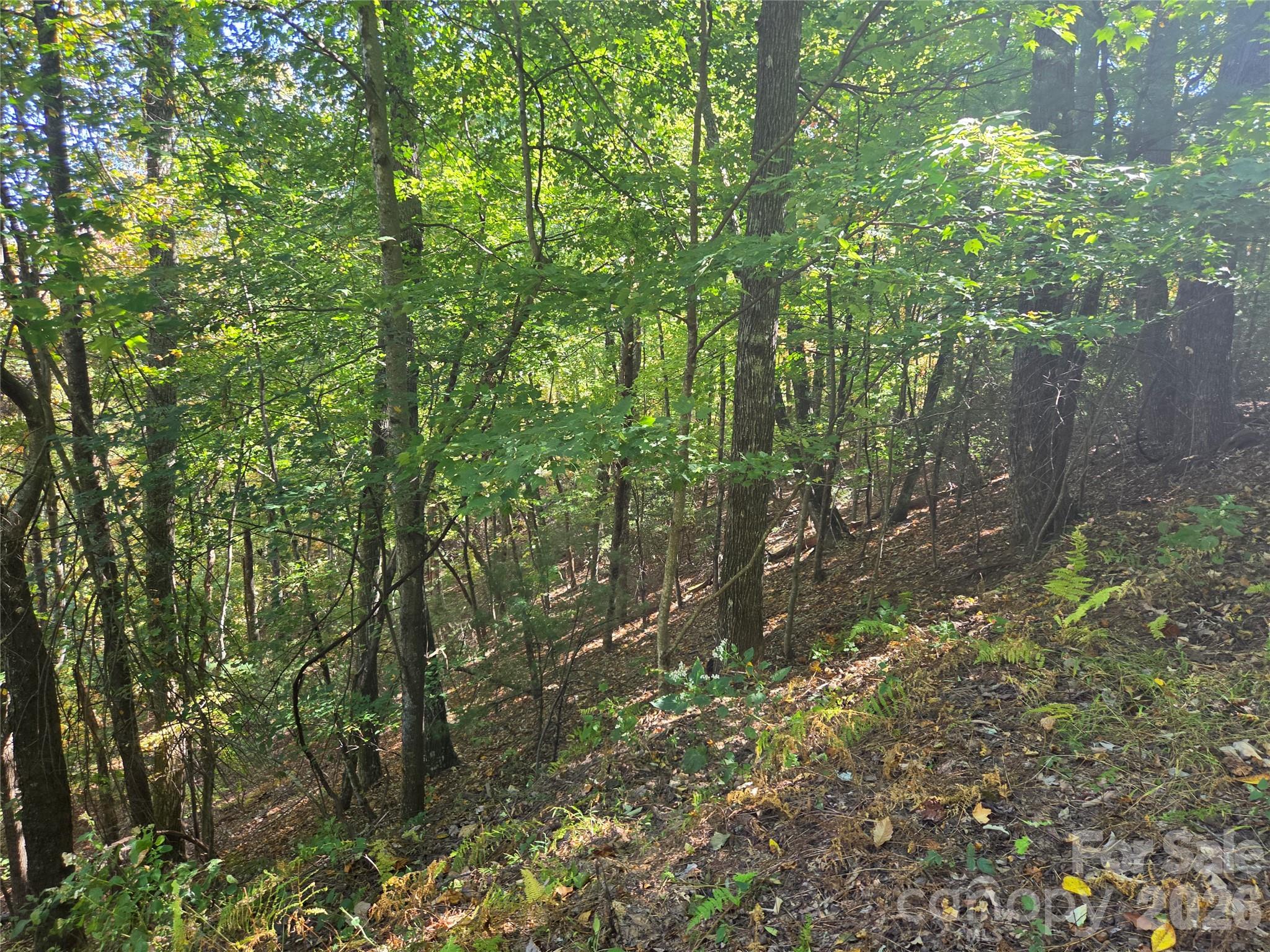 Acreage at 29 Elk Ridge Road, Ferguson, photo 5 of 23