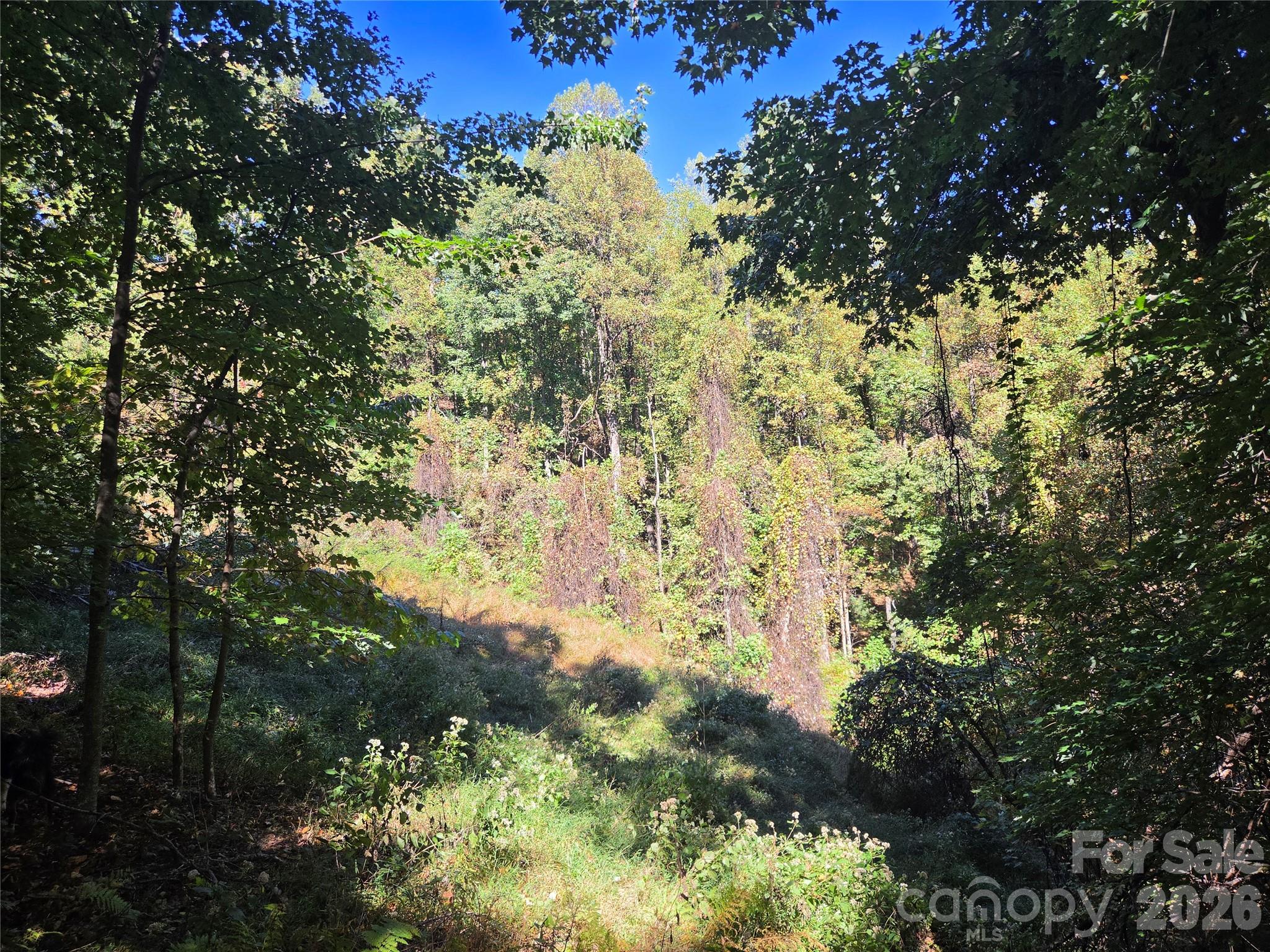 Acreage at 29 Elk Ridge Road, Ferguson, photo 20 of 23