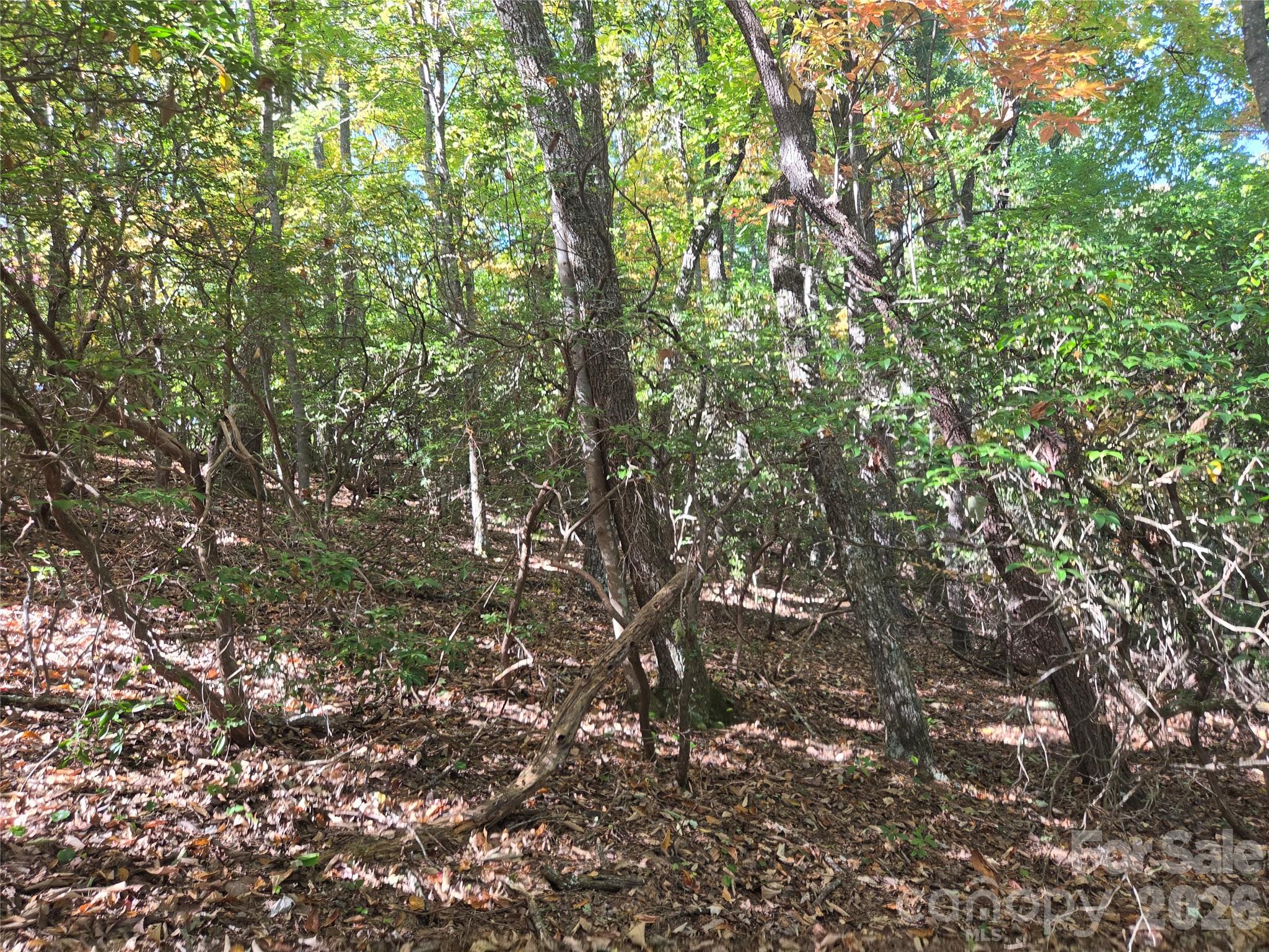 Acreage at 29 Elk Ridge Road, Ferguson, photo 22 of 23