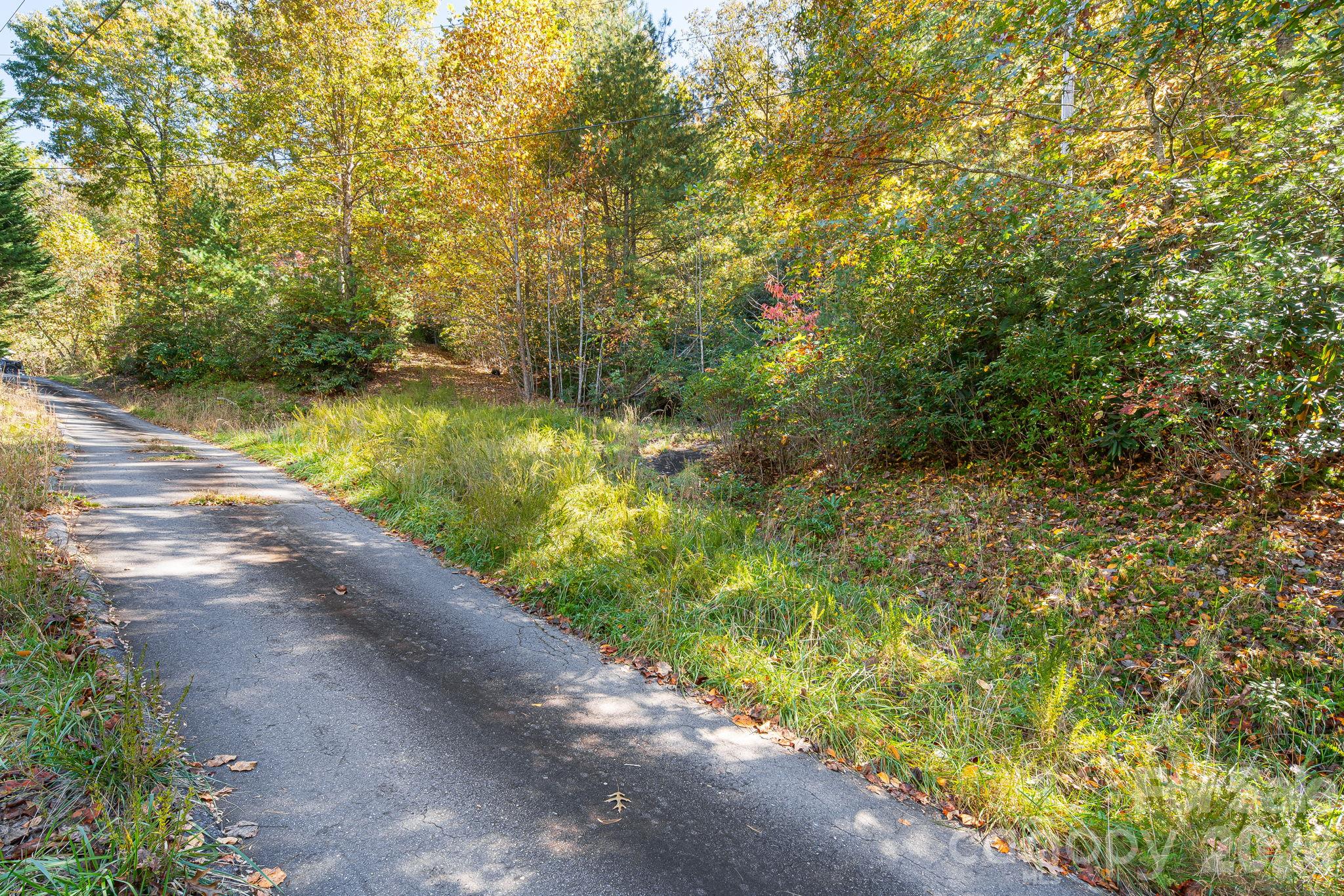 Appraoch Road on Santeelah Dr. - 20 Santeelah Drive, Candler