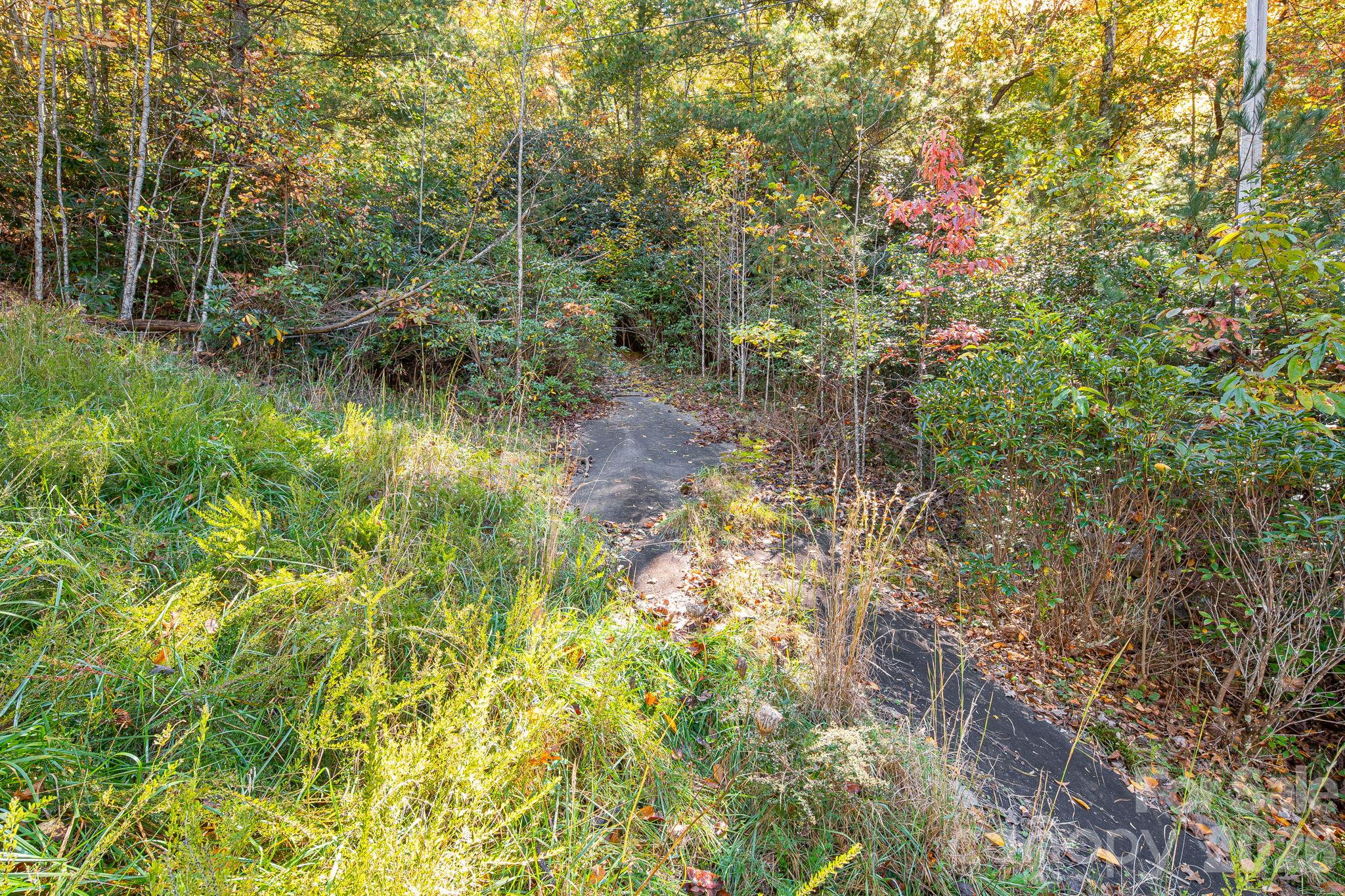 Original driveway access to the lot. - 20 Santeelah Drive, Candler