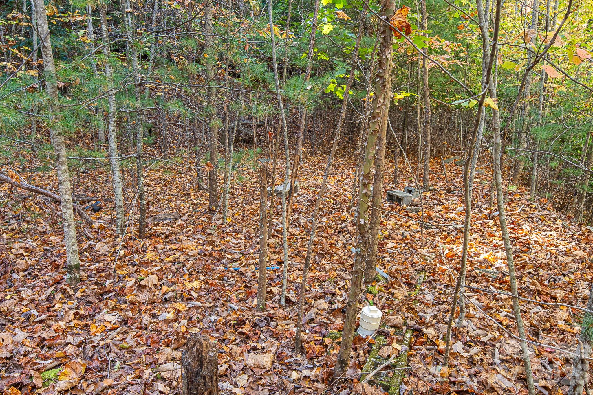 Evidence of original septic. - 20 Santeelah Drive, Candler
