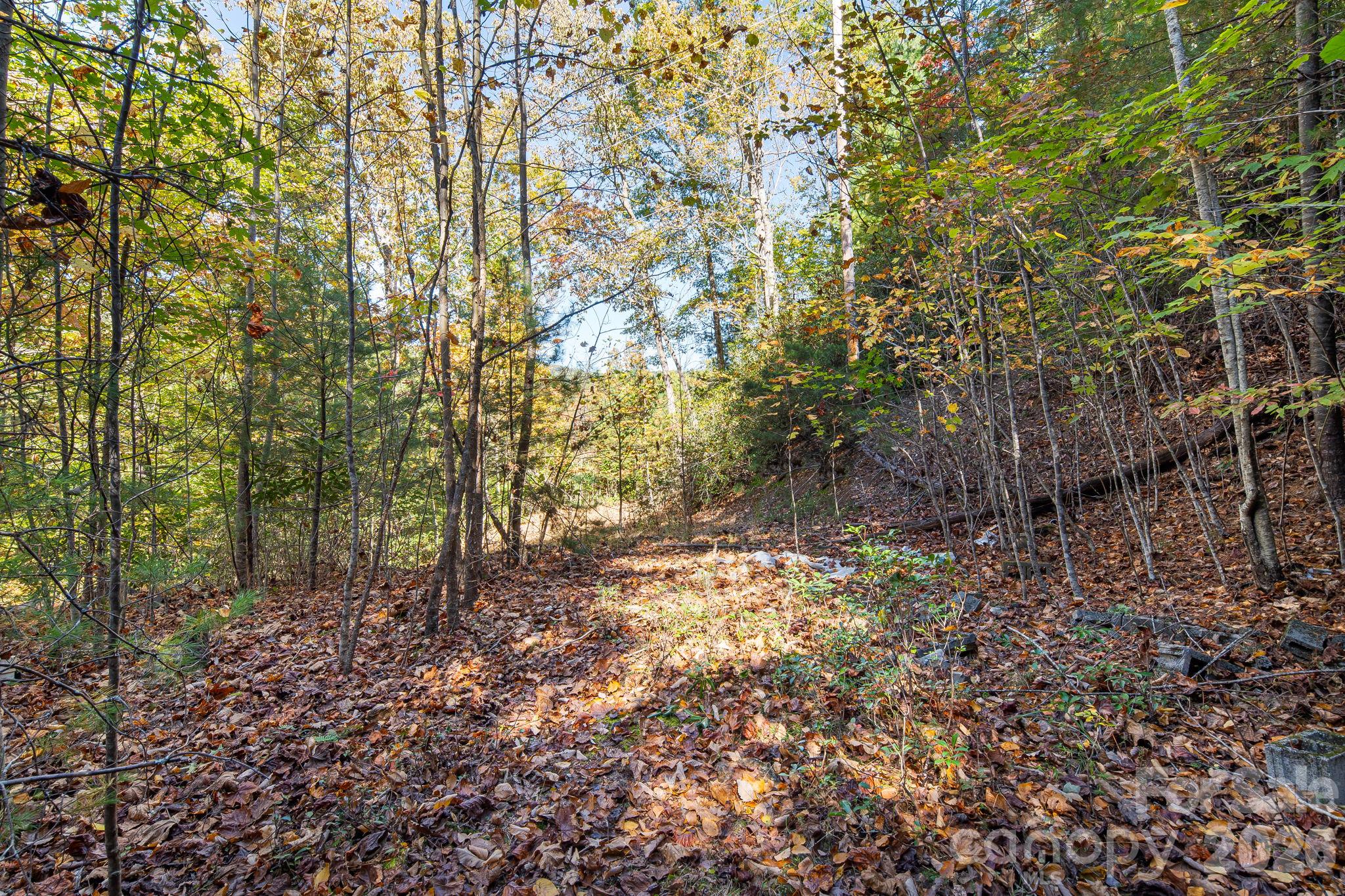 Remnants of the original foundation. - 20 Santeelah Drive, Candler