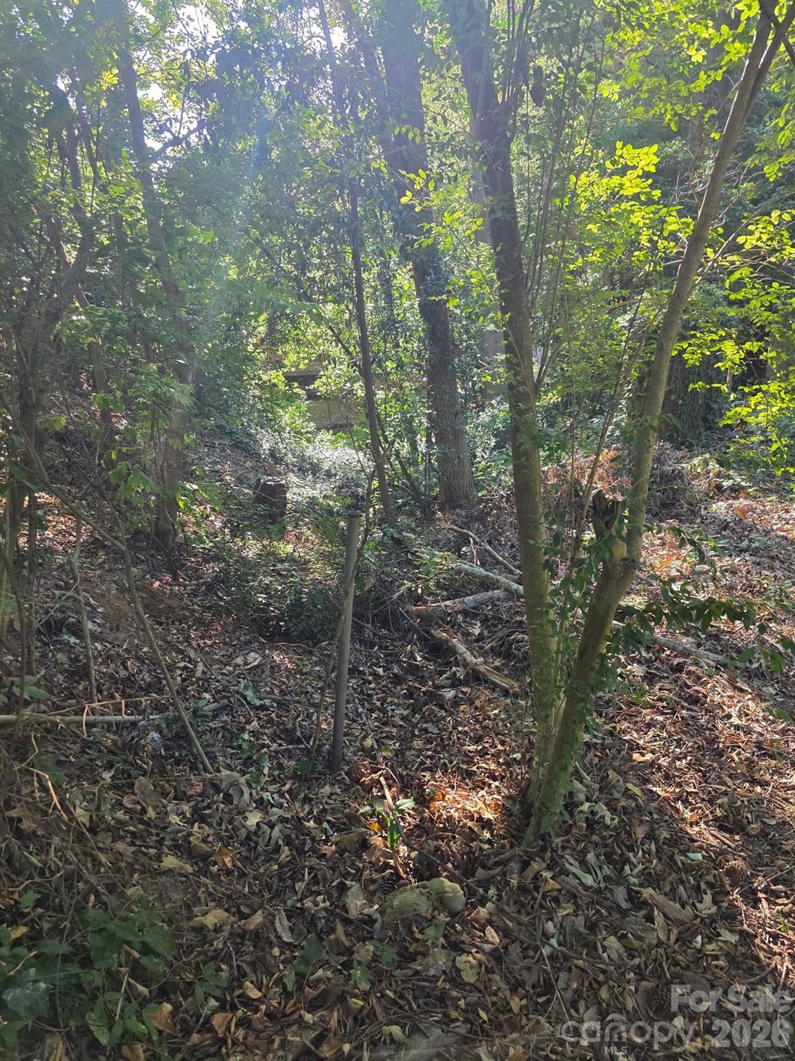 Lot at 0 Walthall Court NW, Atlanta, photo 17 of 23