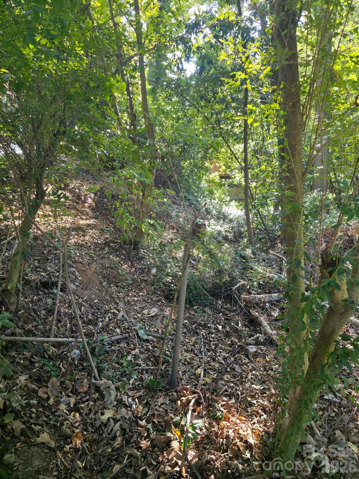 Lot at 0 Walthall Court NW, Atlanta, photo 19 of 23