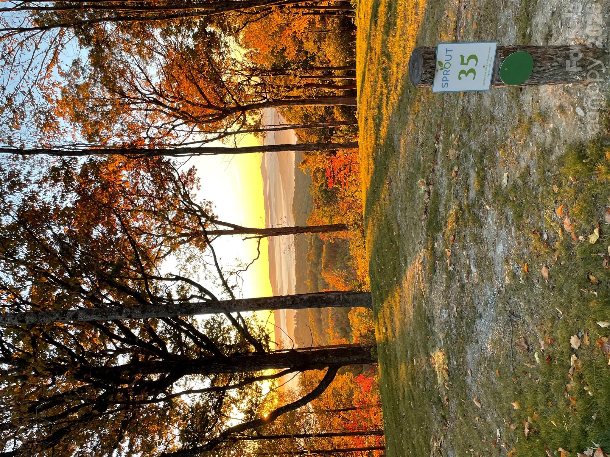 Lot at 0000 East Garden Trail, Hendersonville, photo 3 of 13
