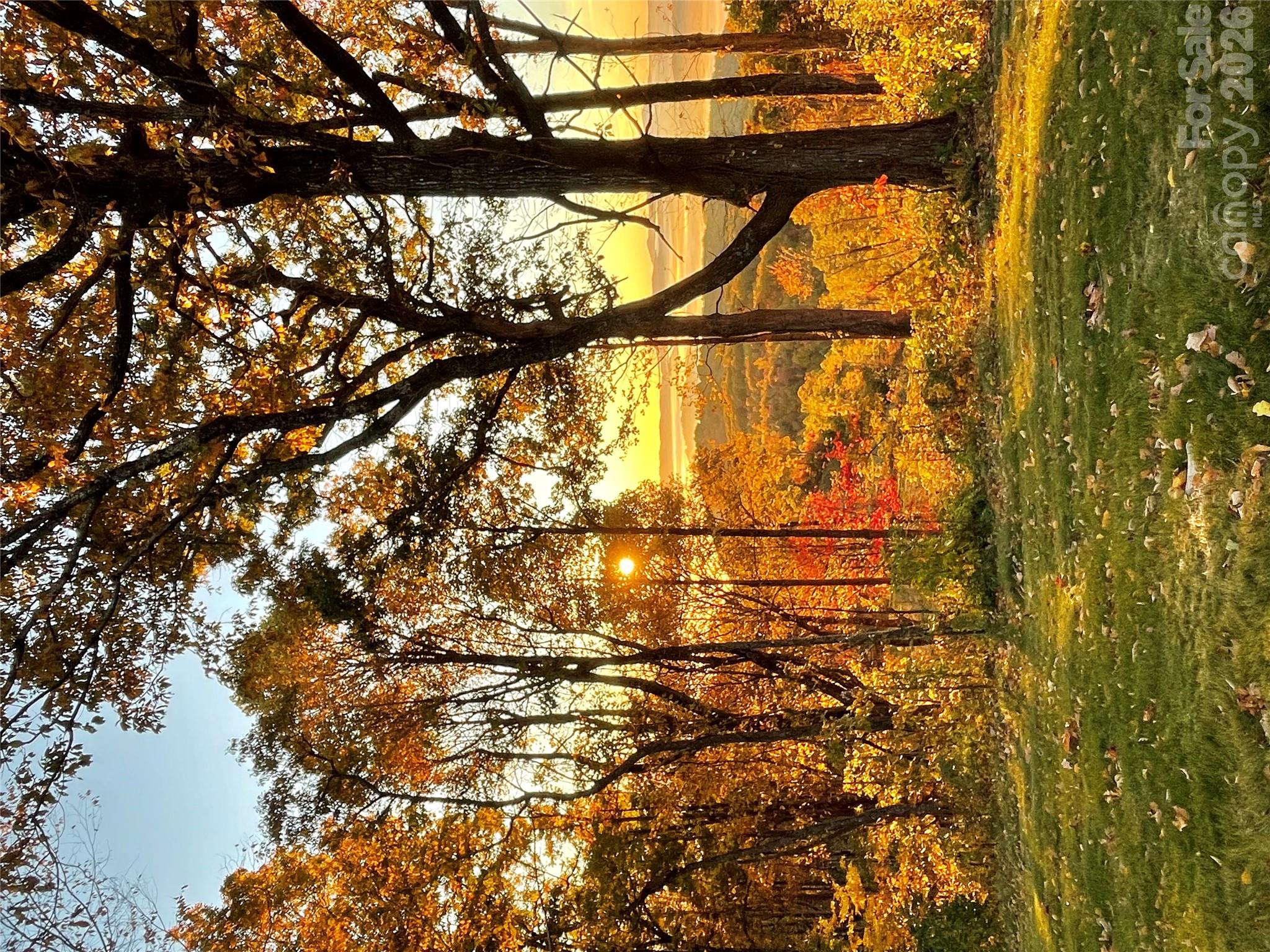 Lot at 0000 East Garden Trail, Hendersonville, photo 4 of 13