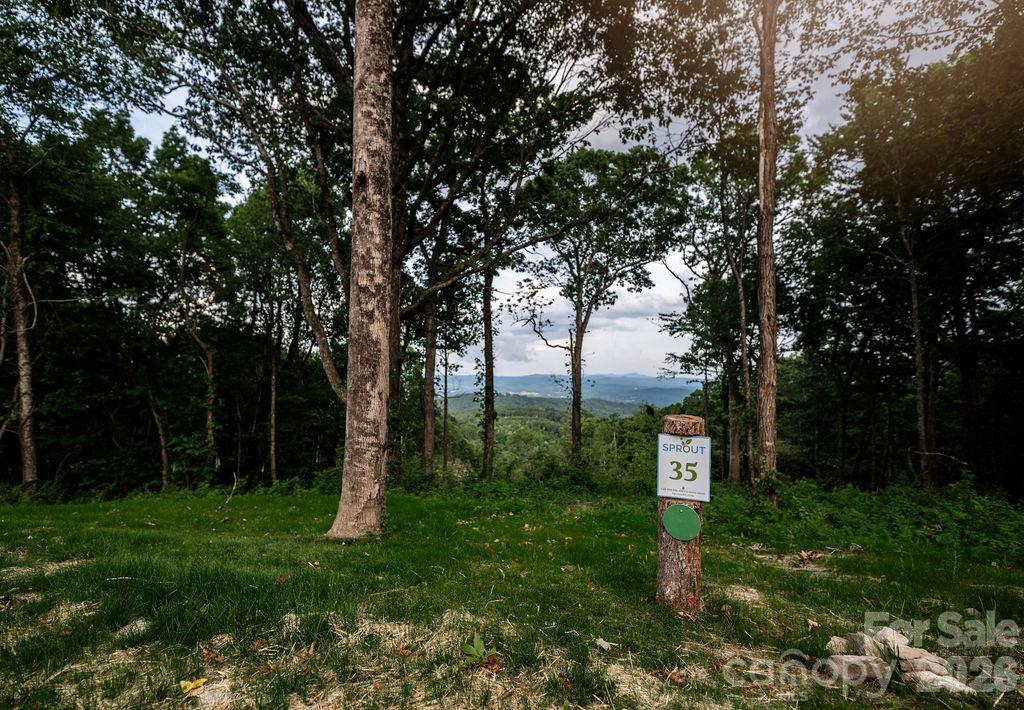 Lot at 0000 East Garden Trail, Hendersonville, photo 5 of 13