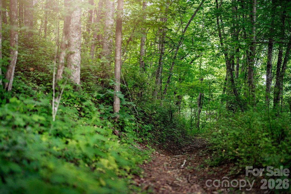 Hiking trails - 0000 East Garden Trail, Hendersonville