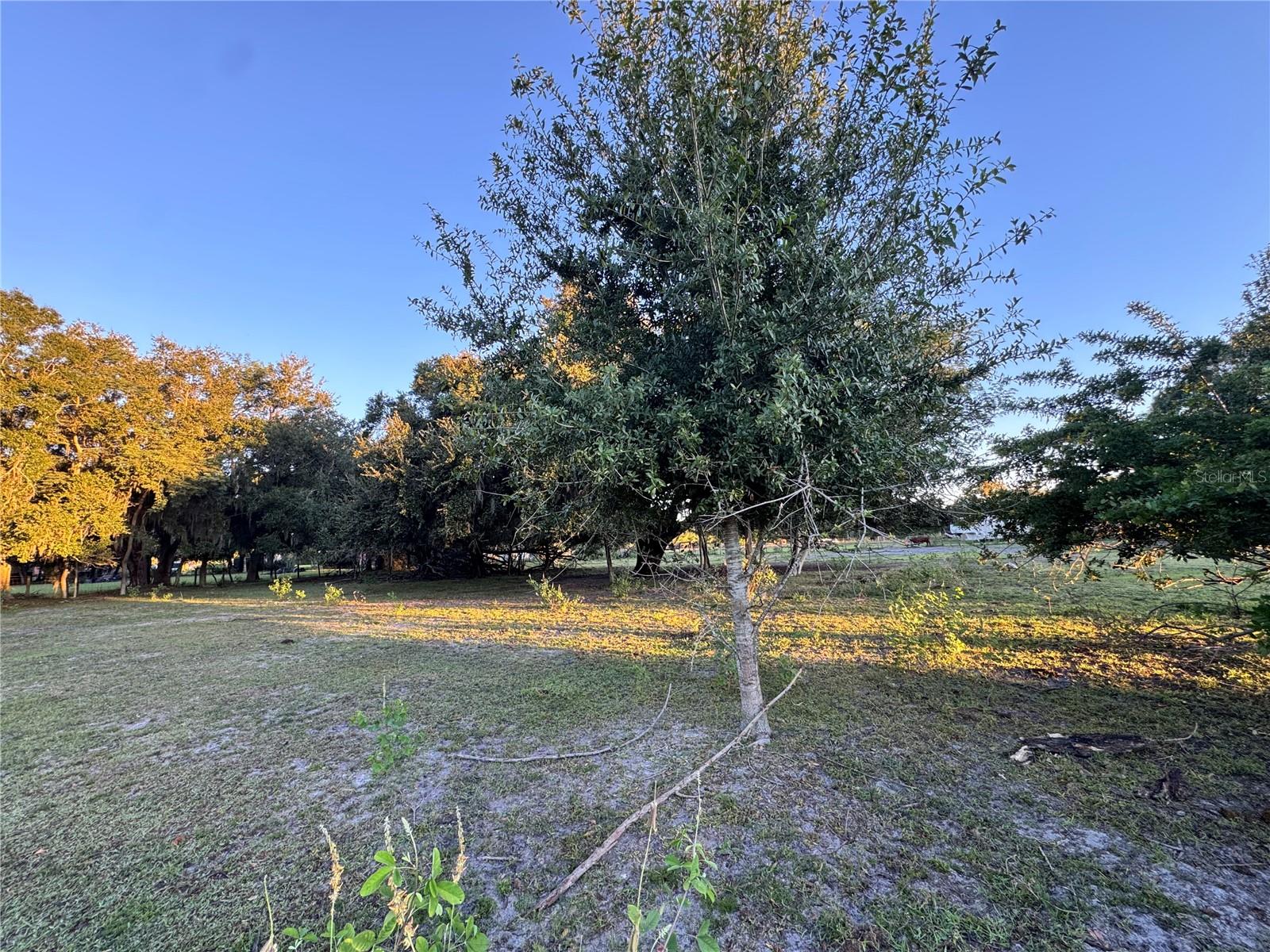 1804 ZIPPERER RD