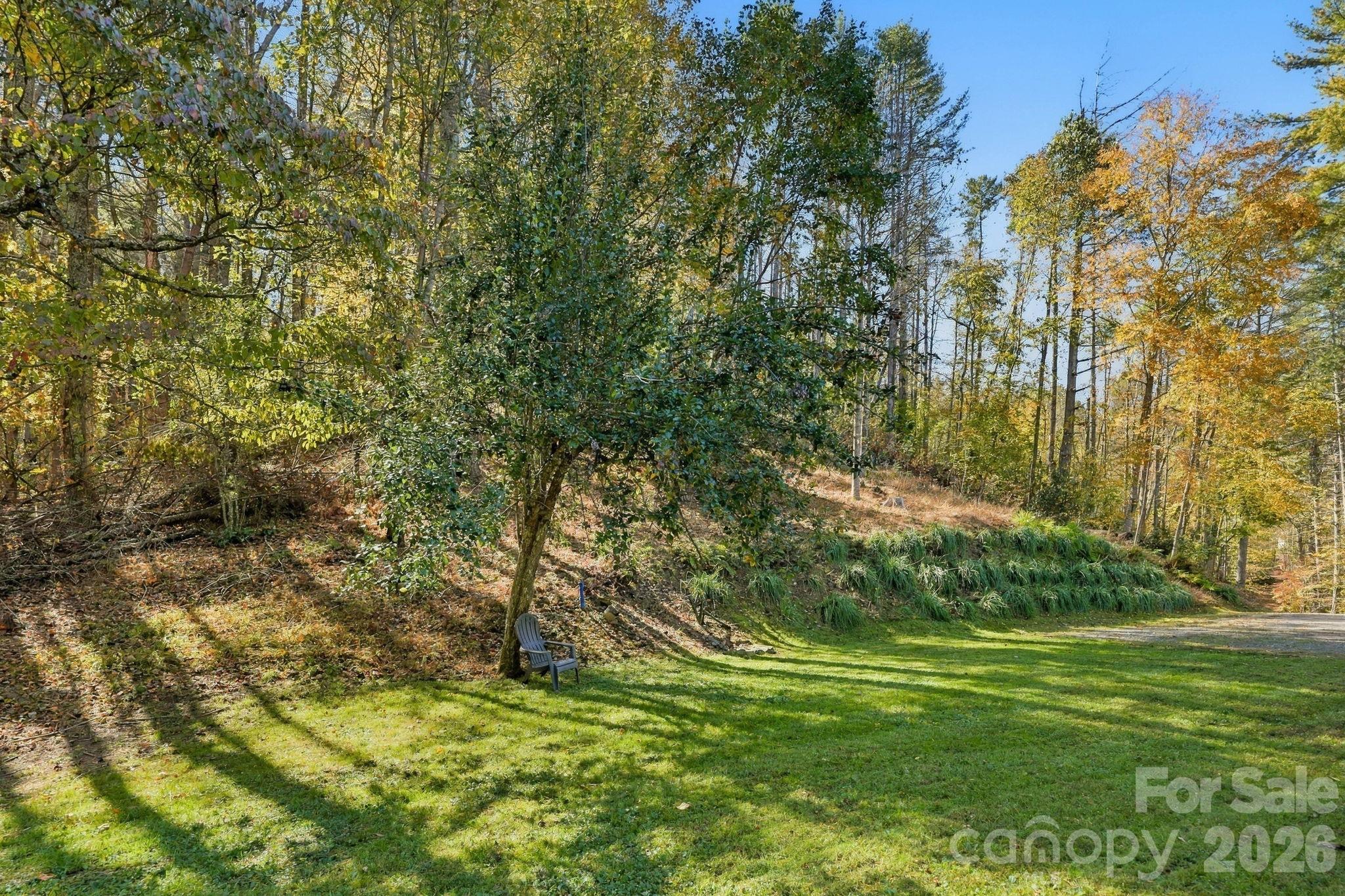 Pear Tree - 37 White Pine Lane, Burnsville