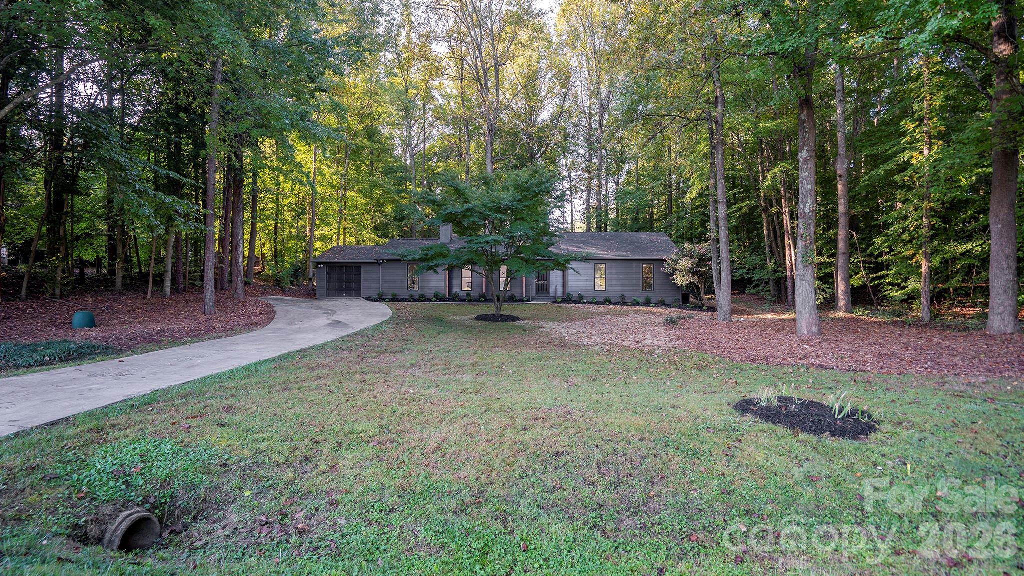 Gorgeous Japanese Maple and Blooming Camellia Steal the Show in the Front Yard - 8001 Saddlehorse Lane, Charlotte