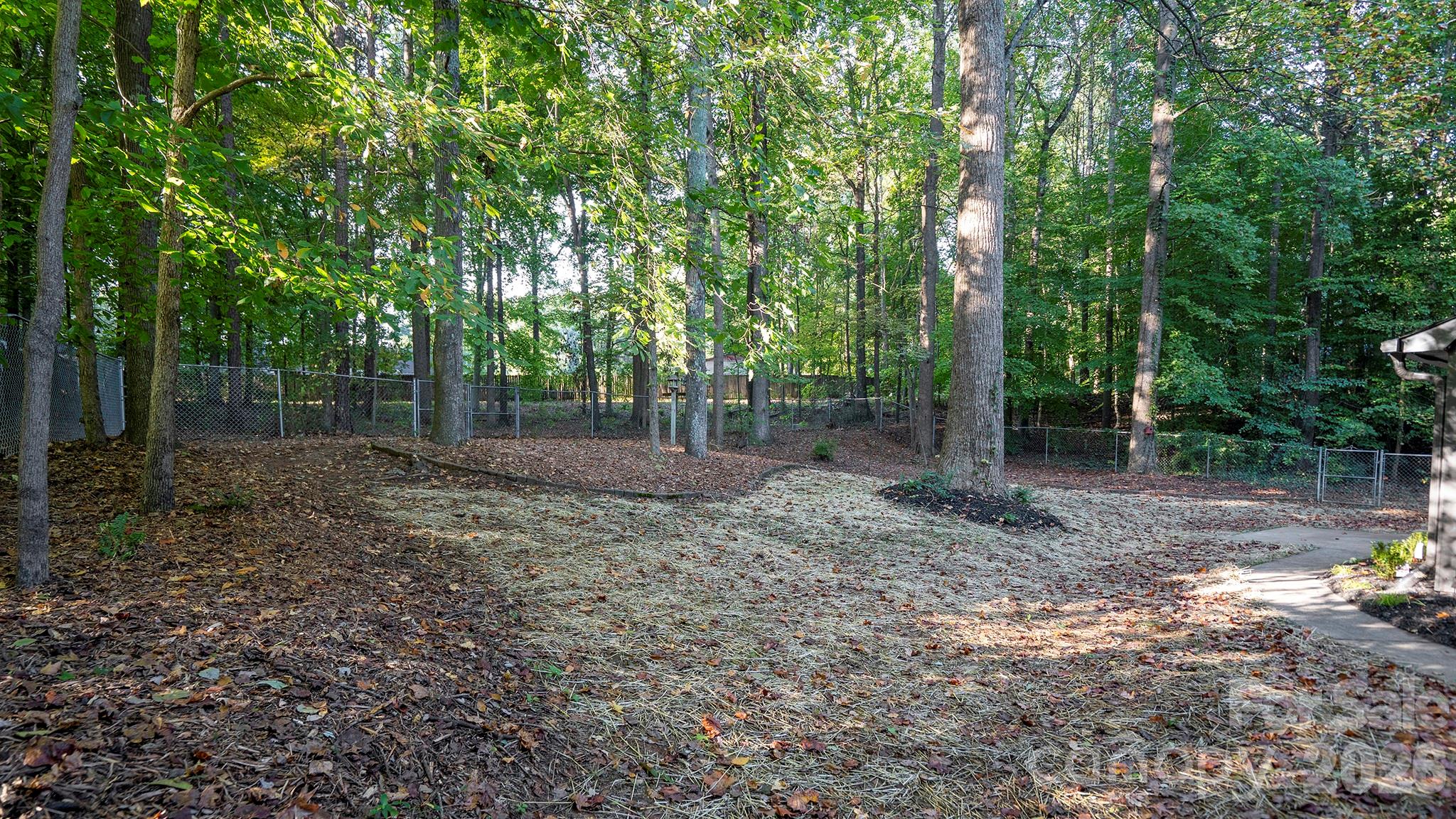 Serene Tree Lined Backyard With Section Fully Fenced In For Pets - 8001 Saddlehorse Lane, Charlotte