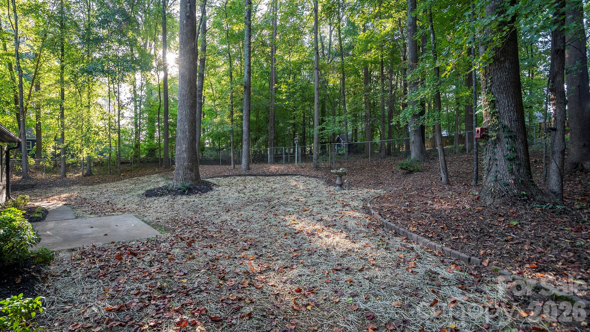 Property Line Extends Well Past Chain Link Fence - Gates Lead to Remaining Backyard - 8001 Saddlehorse Lane, Charlotte