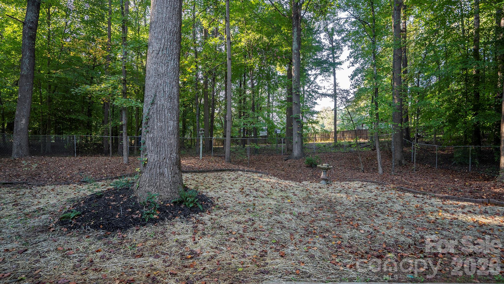 Per HOA Governing Documents - One Horse Is Allowed per Acre Lot and Setbacks For Future Stable - 8001 Saddlehorse Lane, Charlotte