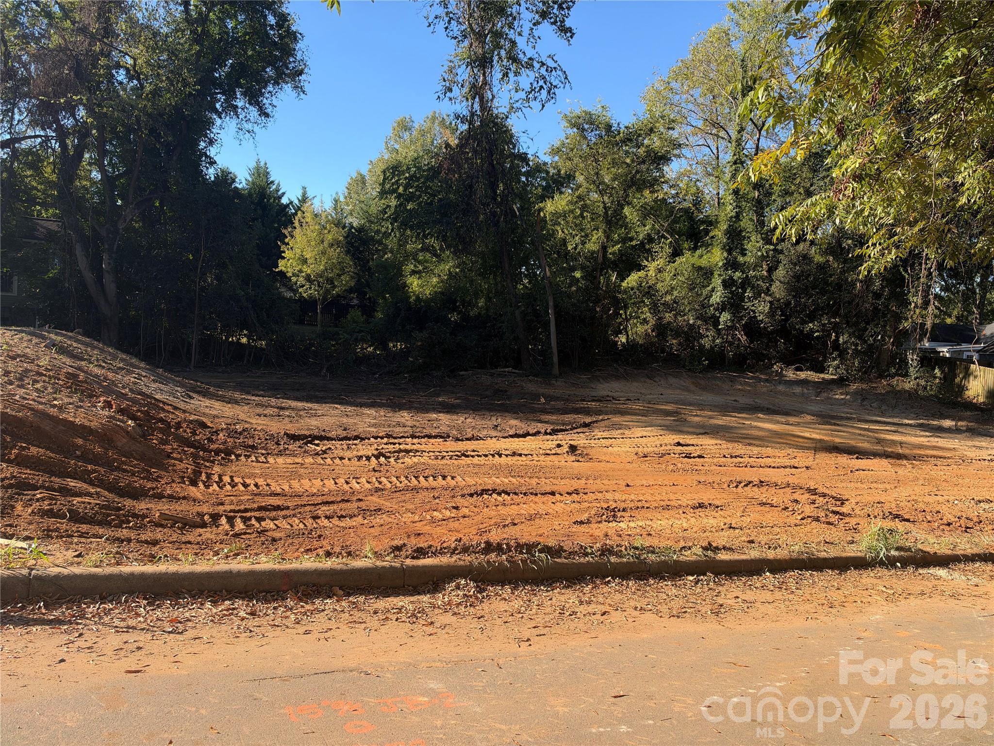 Lot at 922 Grace Street, Charlotte, photo 4 of 9