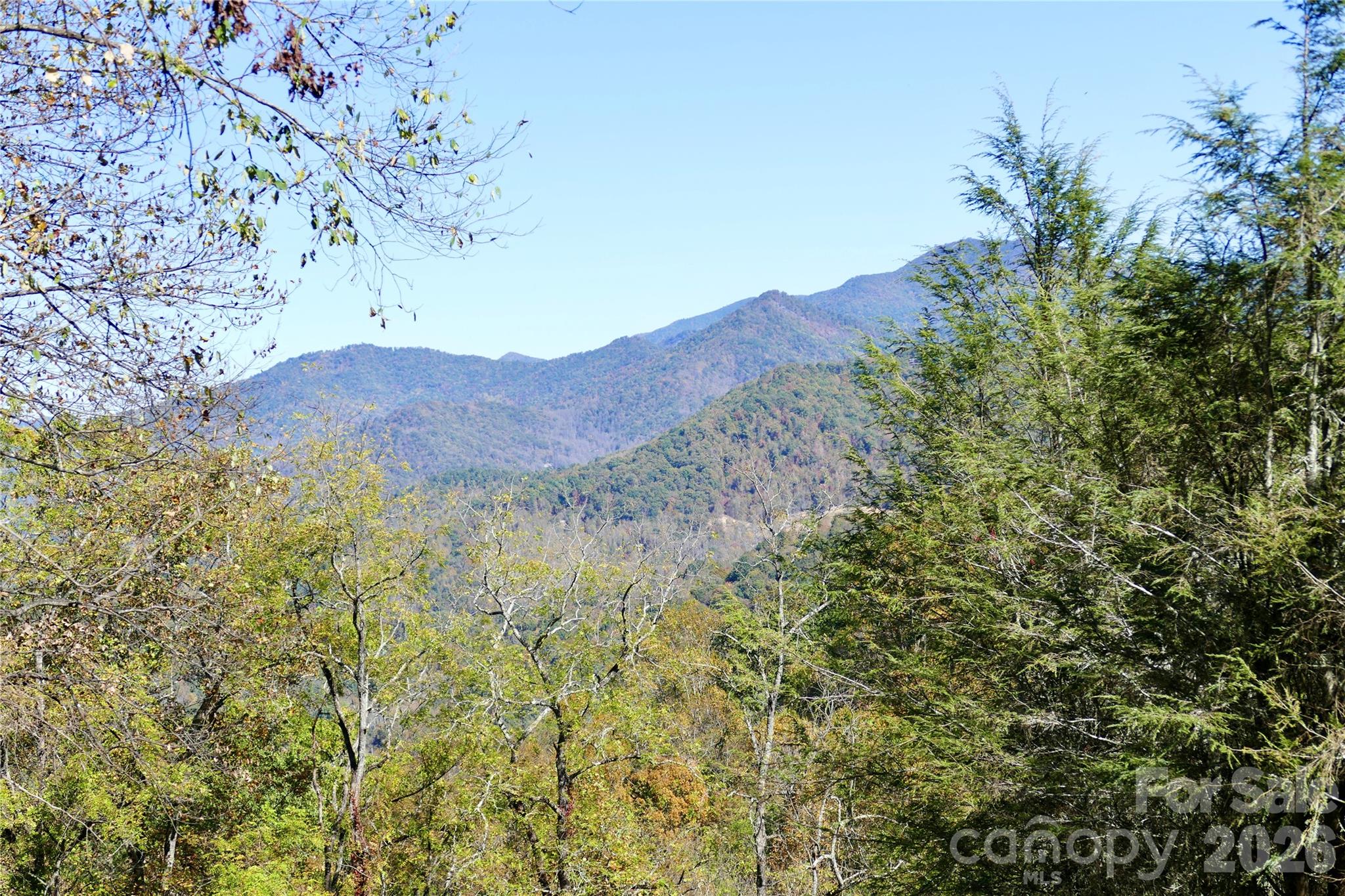 Lot 509 Multiflora Way
