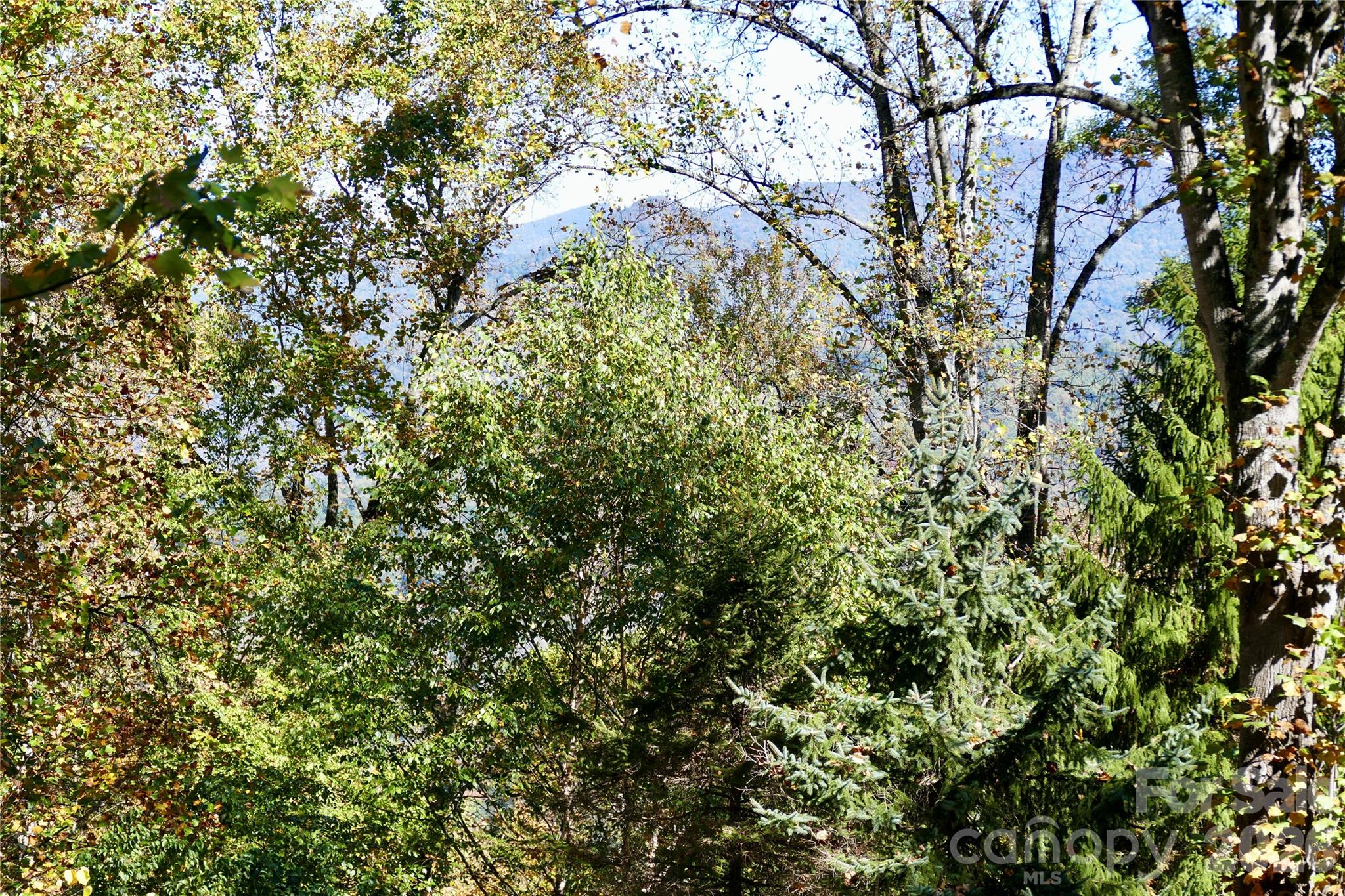 View through Lot - Lot 509 Multiflora Way, Waynesville