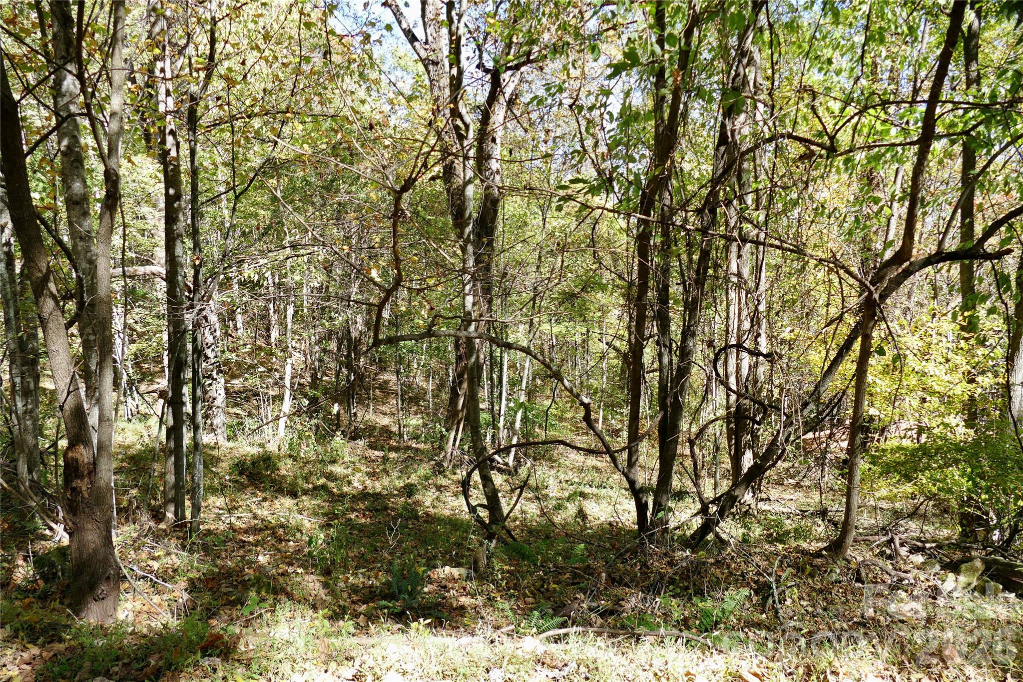 Lot from Street/sloped but not steep - Lot 509 Multiflora Way, Waynesville