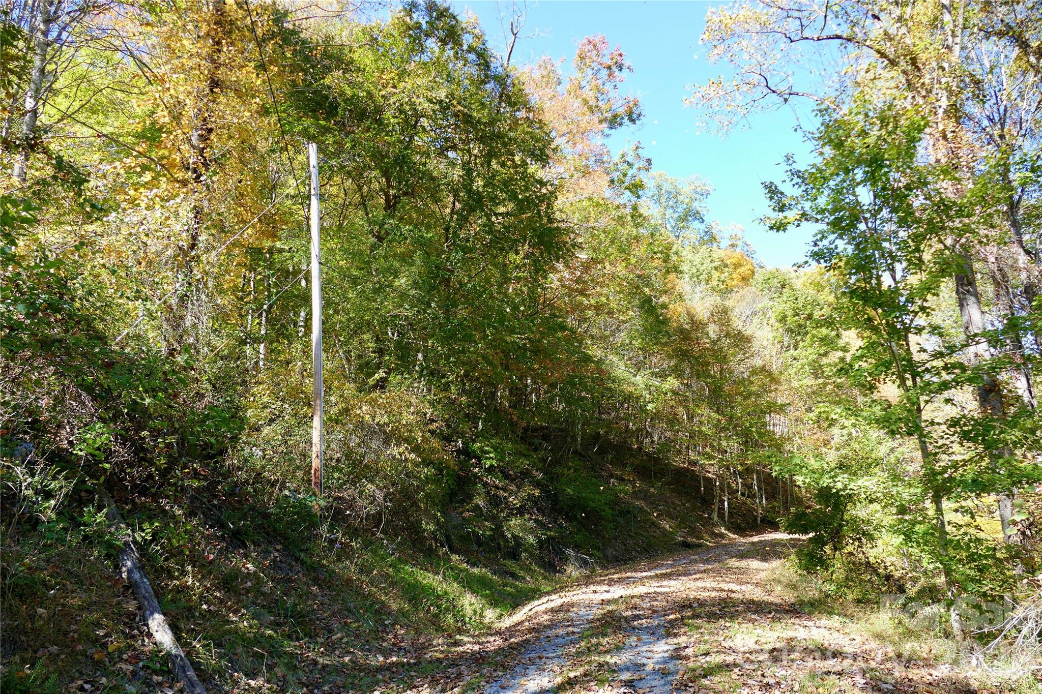 Pole showing at property line on lower road - Lot 509 Multiflora Way, Waynesville