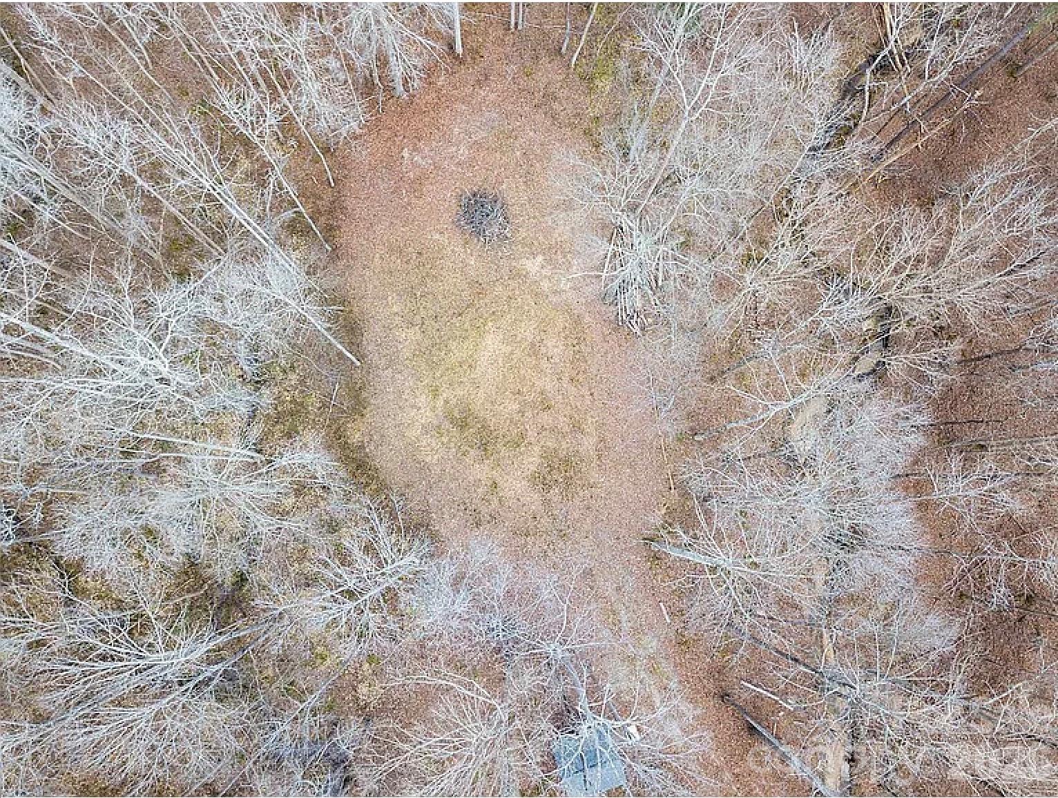 Lot at 6716 Valley Woods Lane, Cary, photo 6 of 6