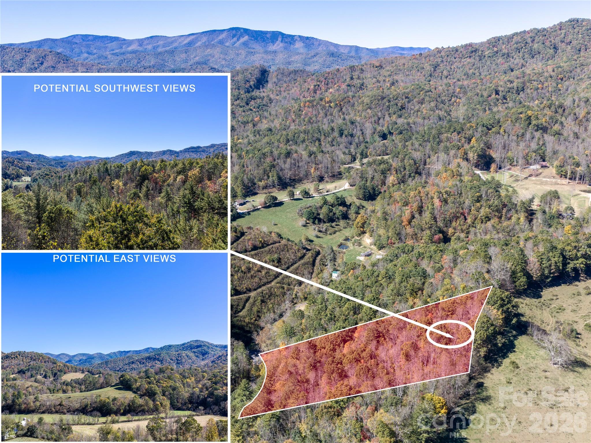 Acreage at 00 Shelton Laurel Road, Clyde, photo 2 of 16