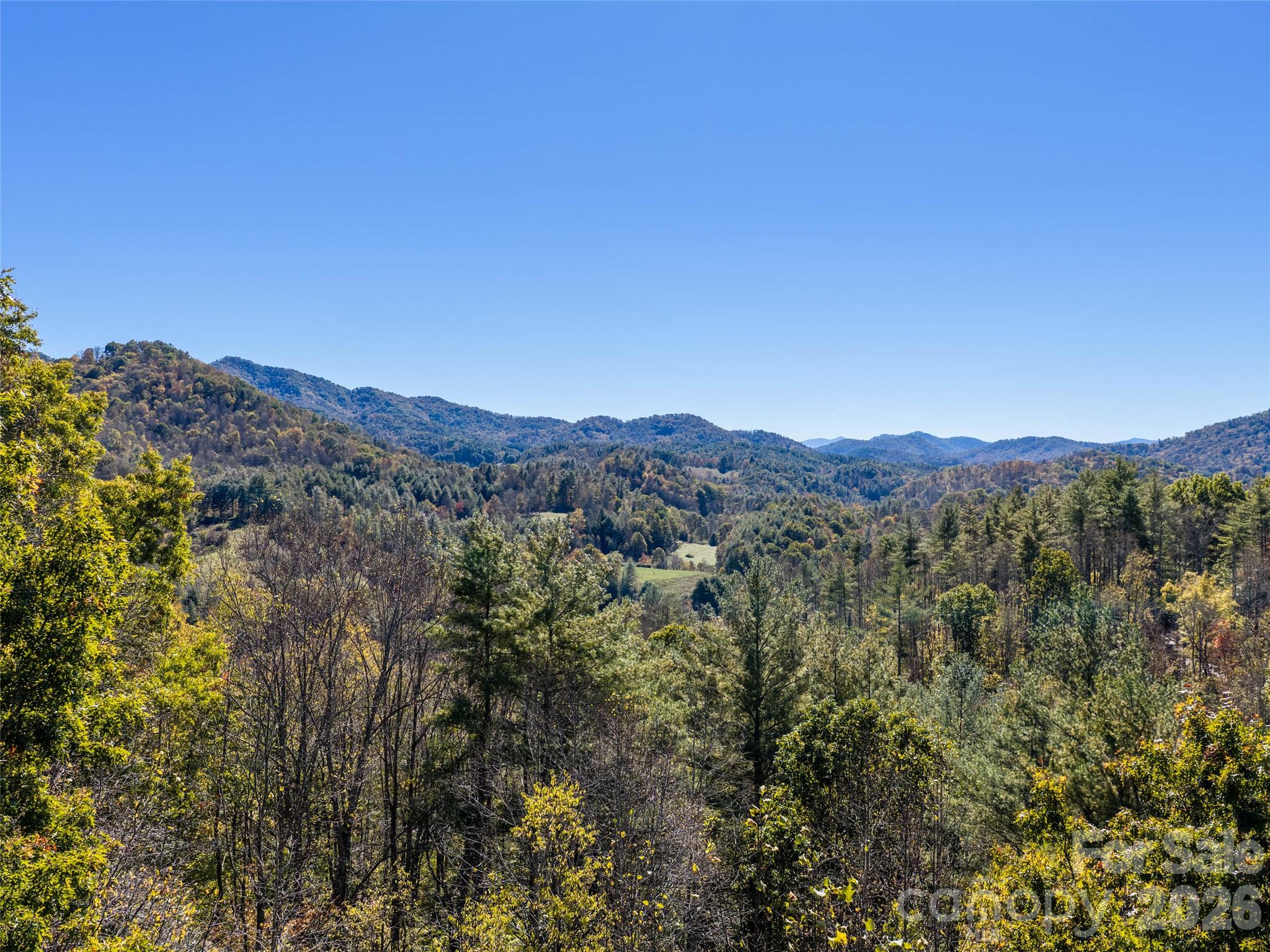 Acreage at 00 Shelton Laurel Road, Clyde, photo 9 of 16