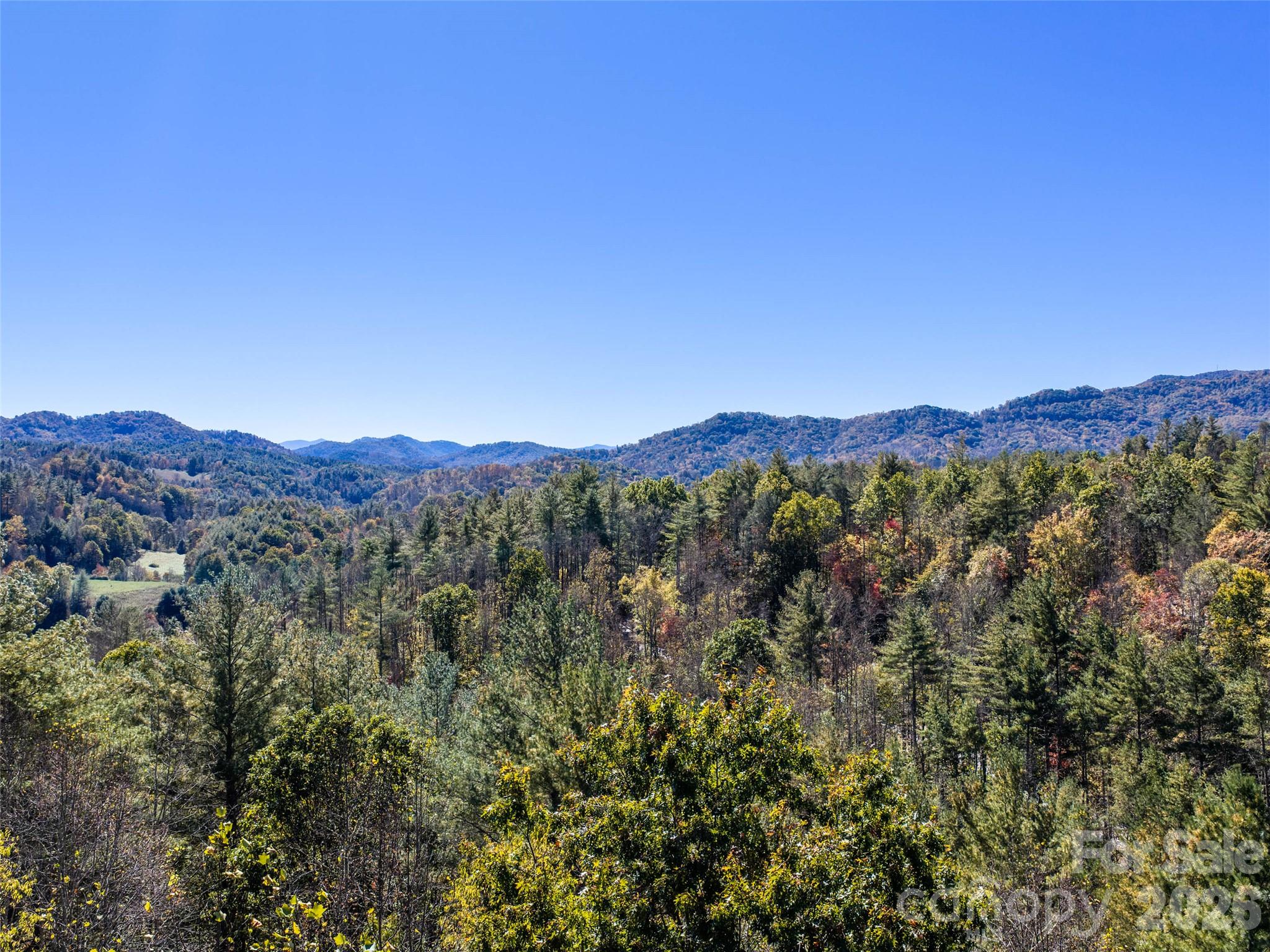 Acreage at 00 Shelton Laurel Road, Clyde, photo 10 of 16