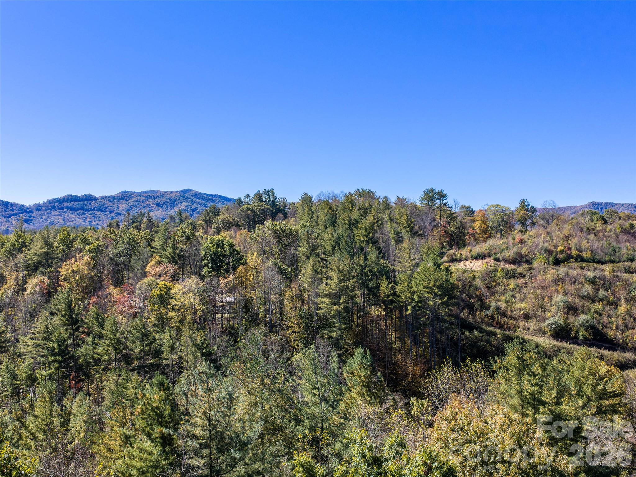 Acreage at 00 Shelton Laurel Road, Clyde, photo 11 of 16