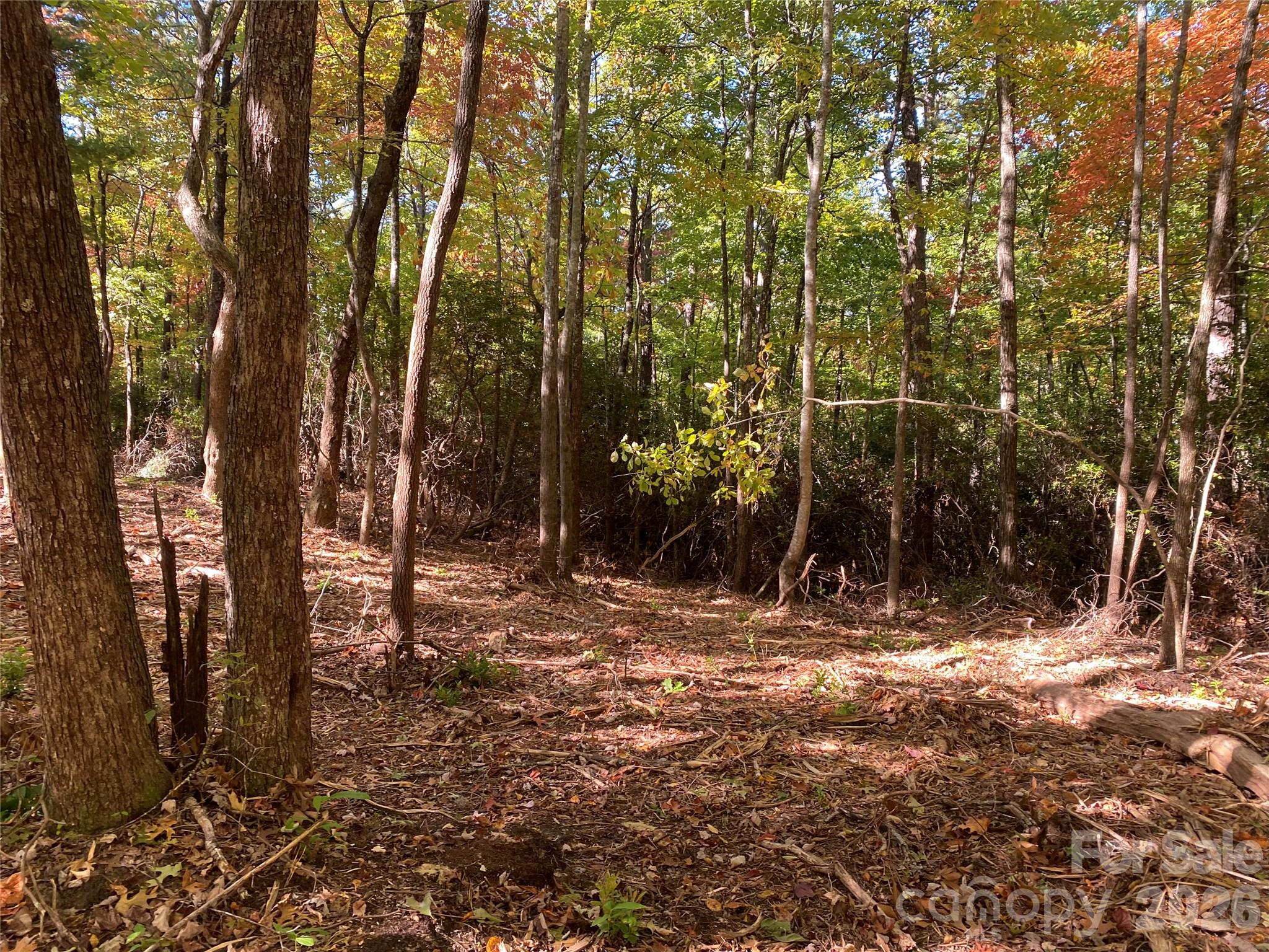 Lot at 24 Oak Brook West Lane, Brevard, photo 2 of 7
