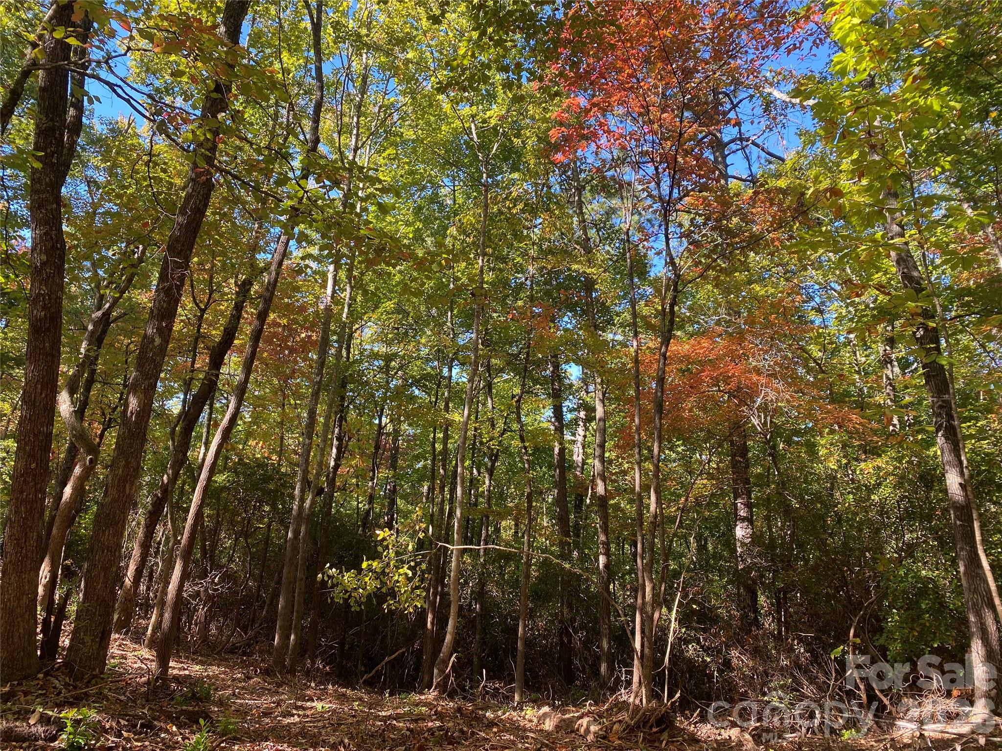 Lot at 24 Oak Brook West Lane, Brevard, photo 3 of 7